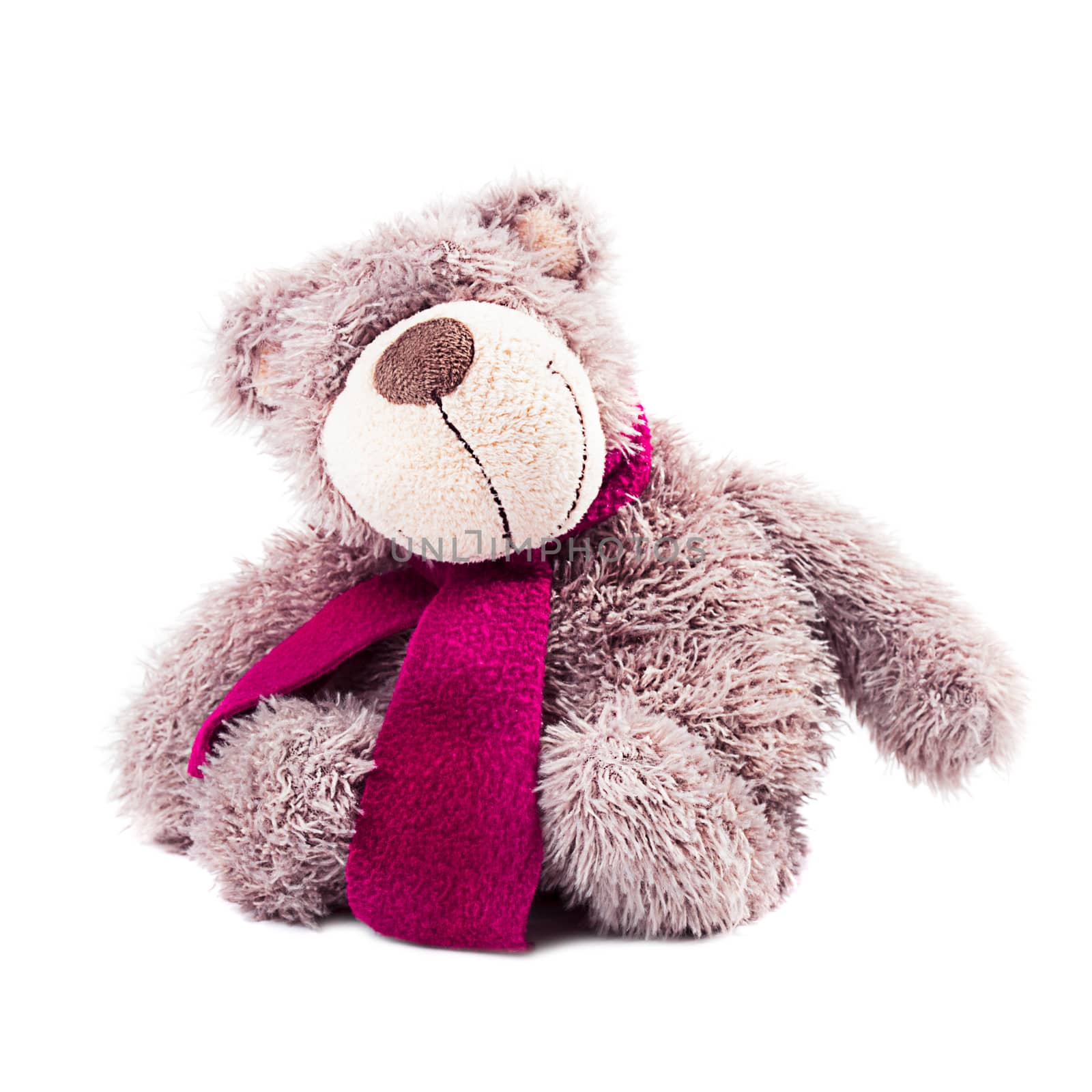Tebby bear - plush toy, isolated on white
