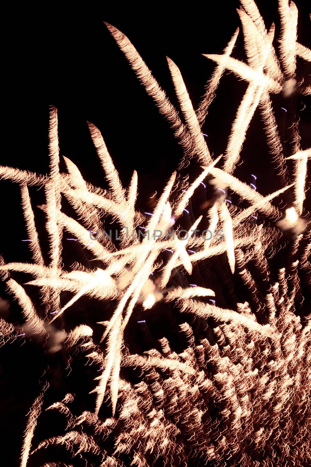 Firework over dark sky in summer night