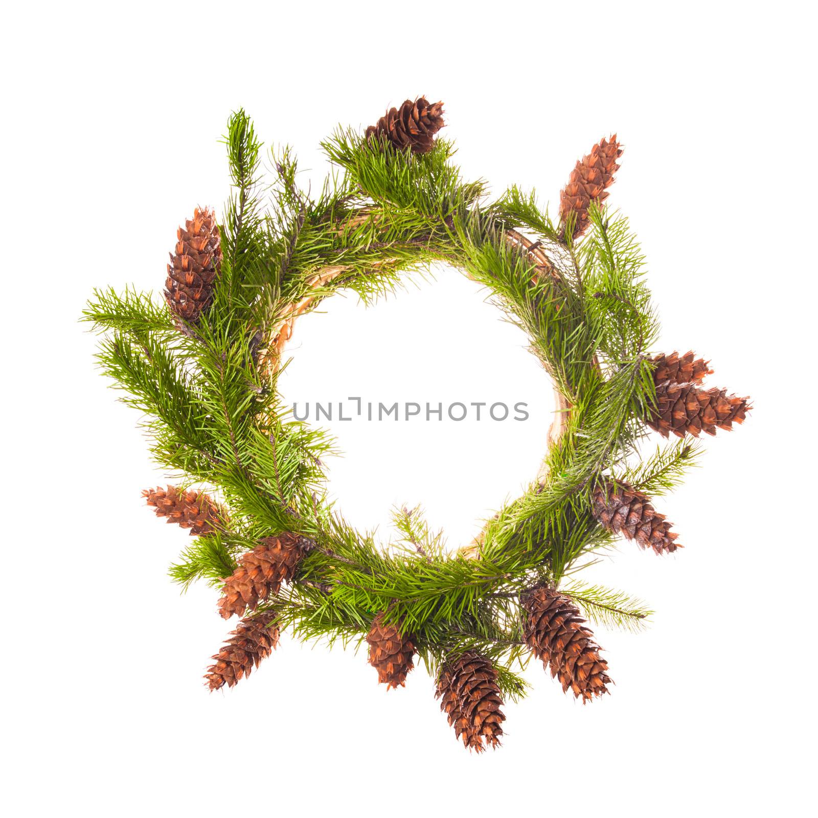 Christmas wreath from spruce branches with cones