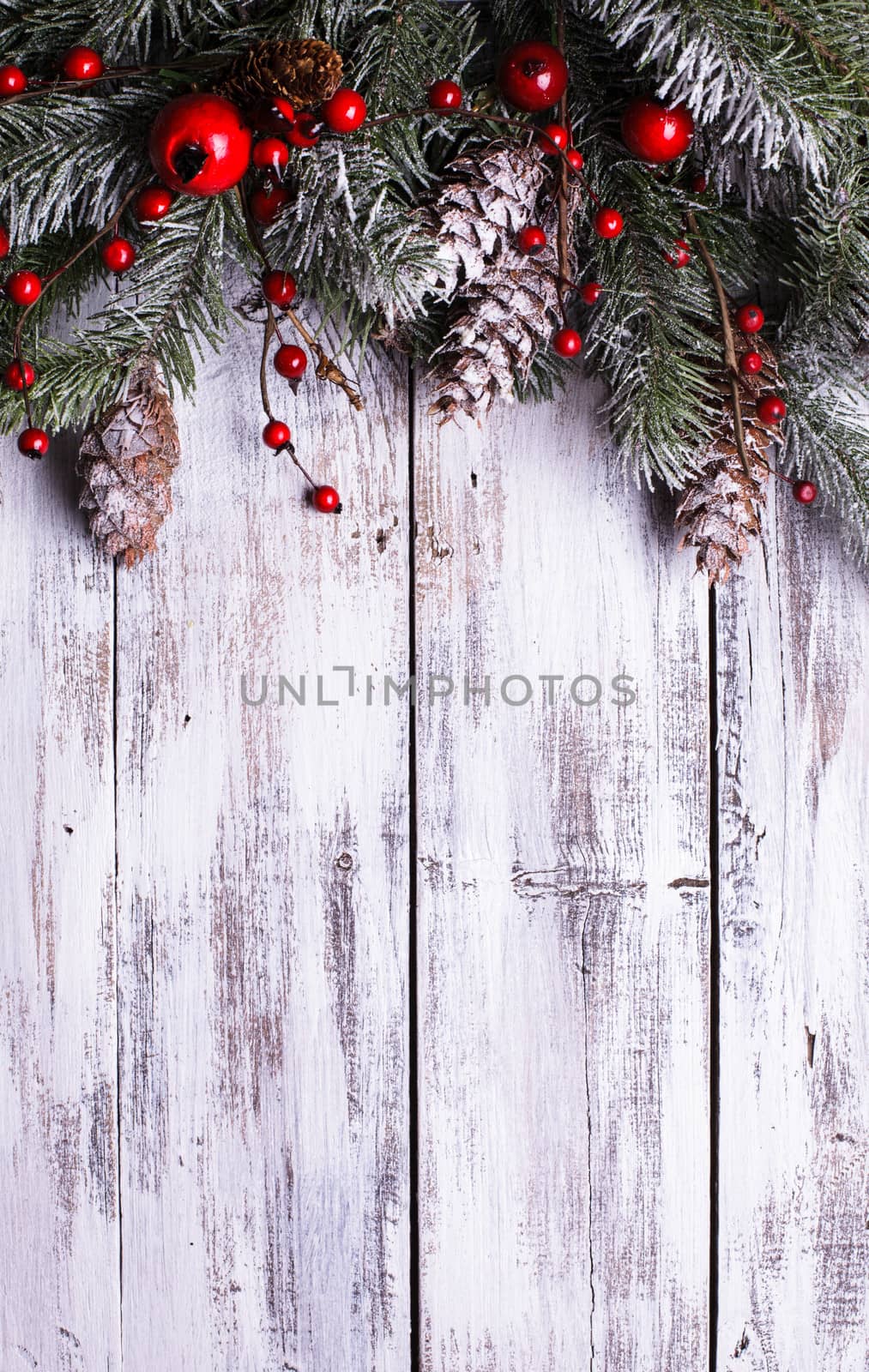 Christmas border design with snow covered pinecones