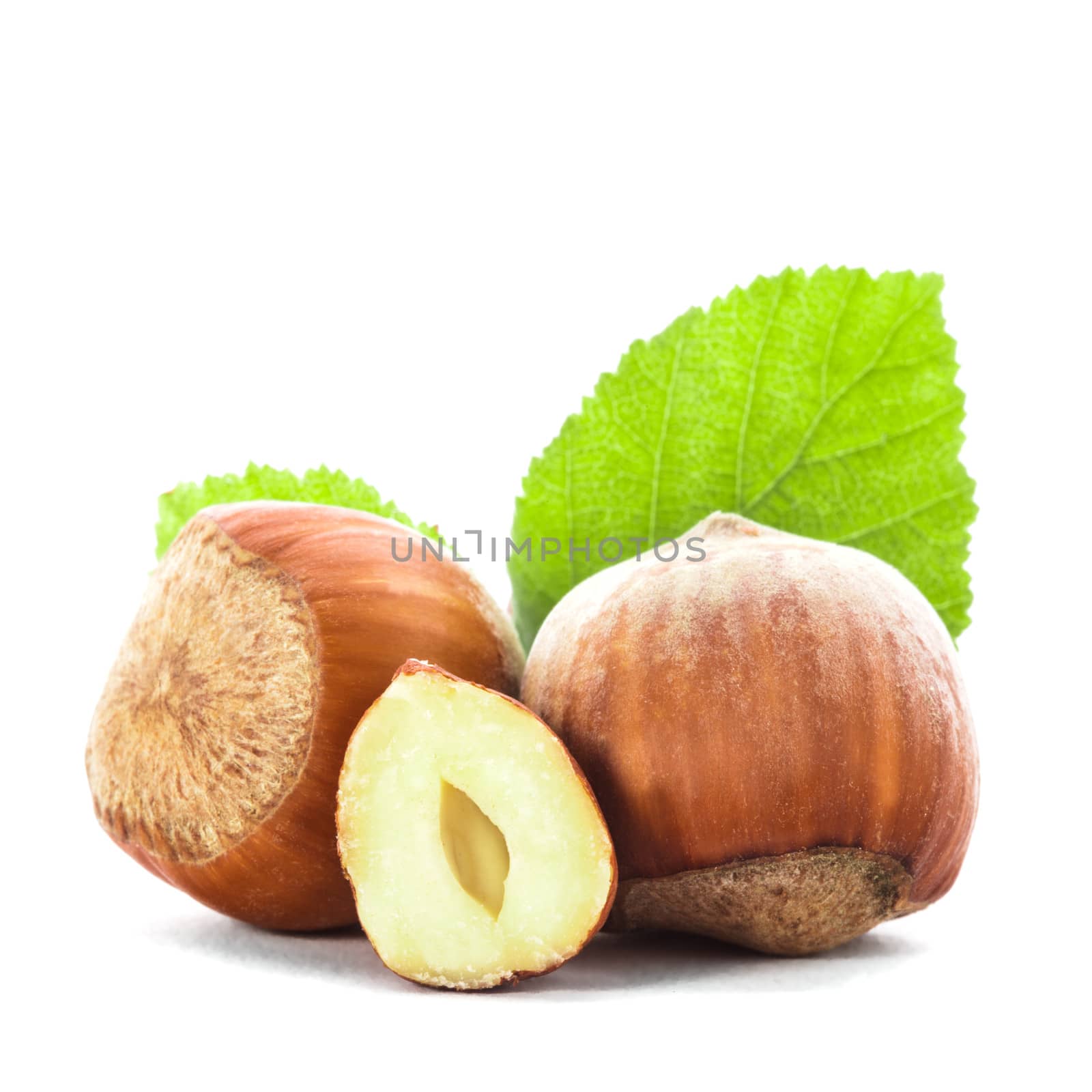 Hazelnuts with shell and green leaf isolated