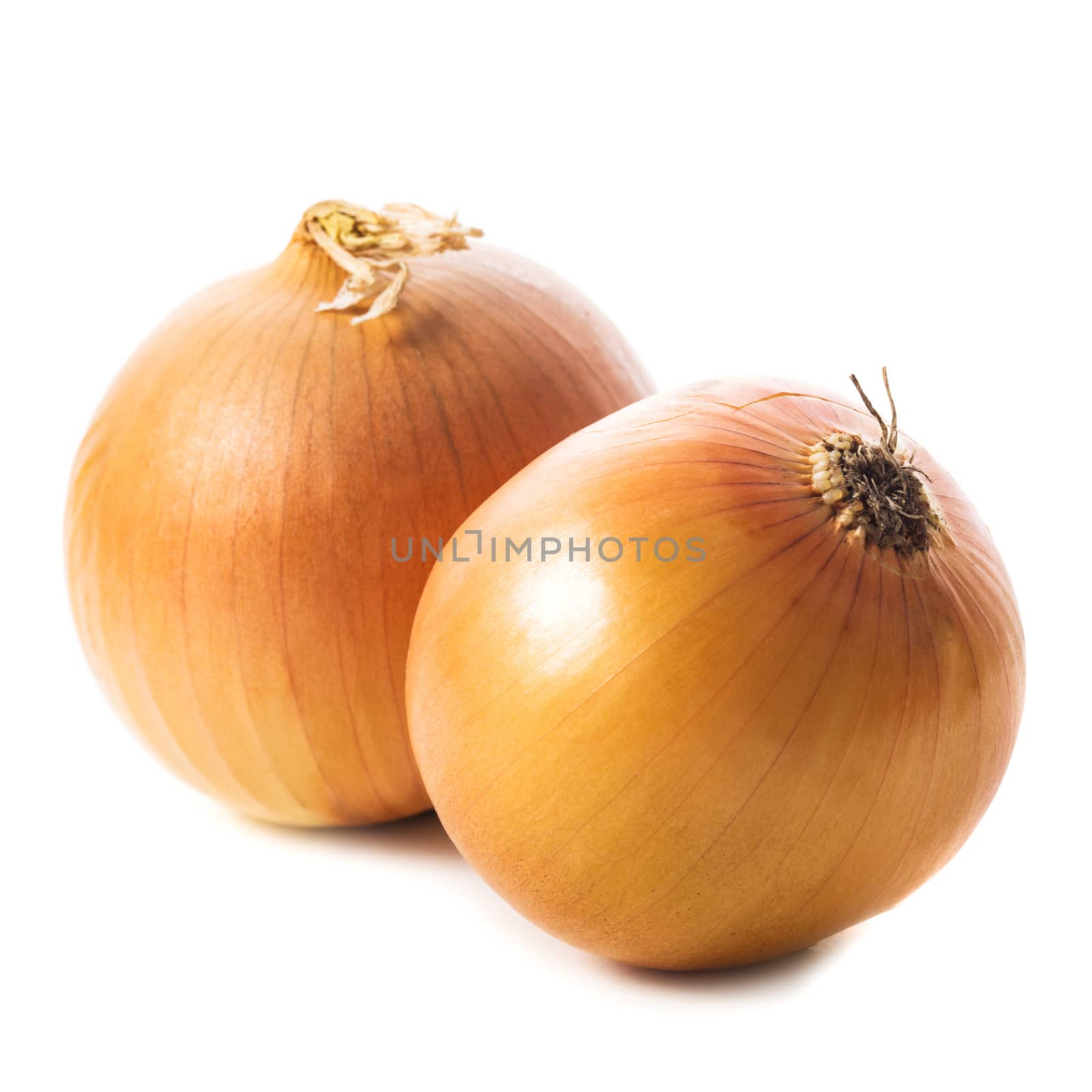 Onion bulbs isolated  by oksix