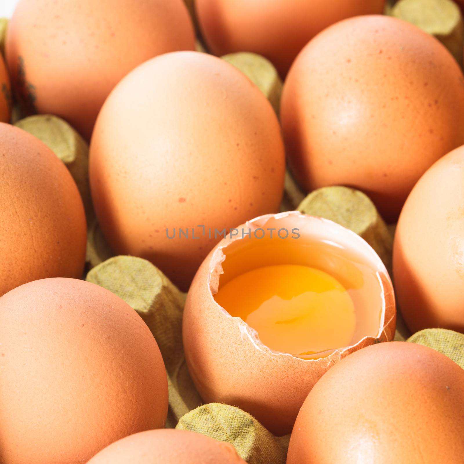 A raw egg in the shell in the cardboard shelf