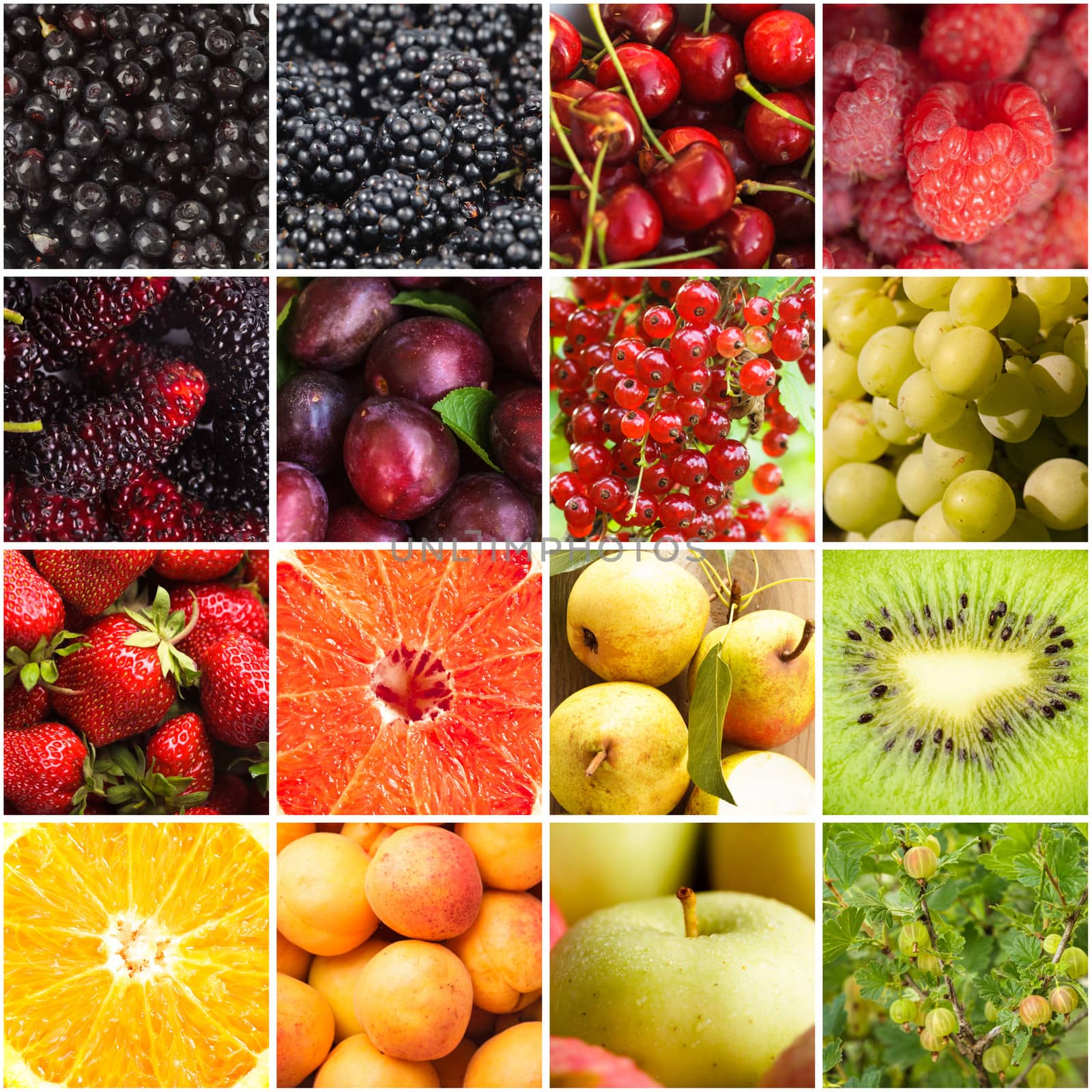 Various fruits berries by oksix