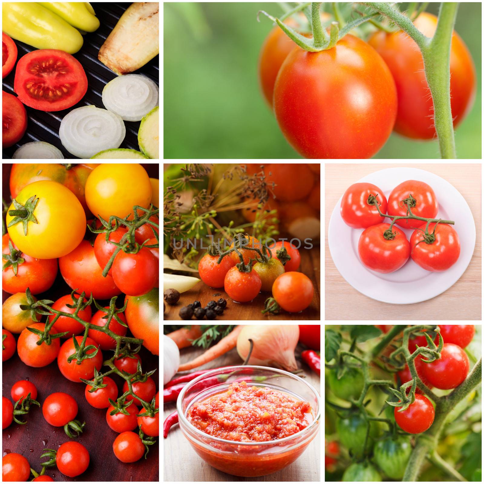 Collage of growing tomatoes and food
