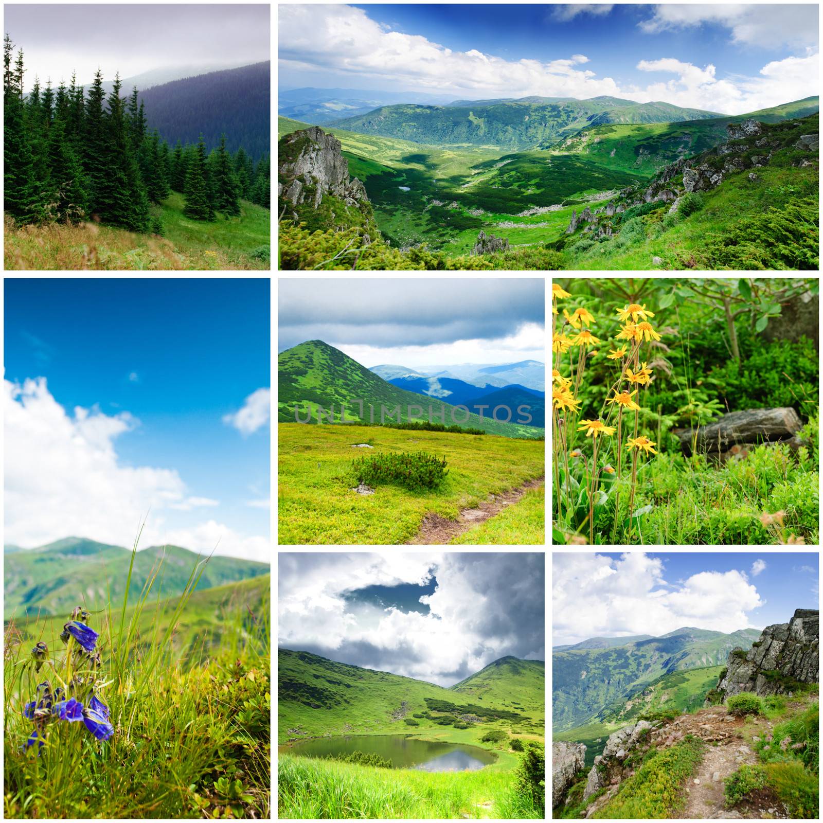 Carpathian Mountains, collage from seven photos