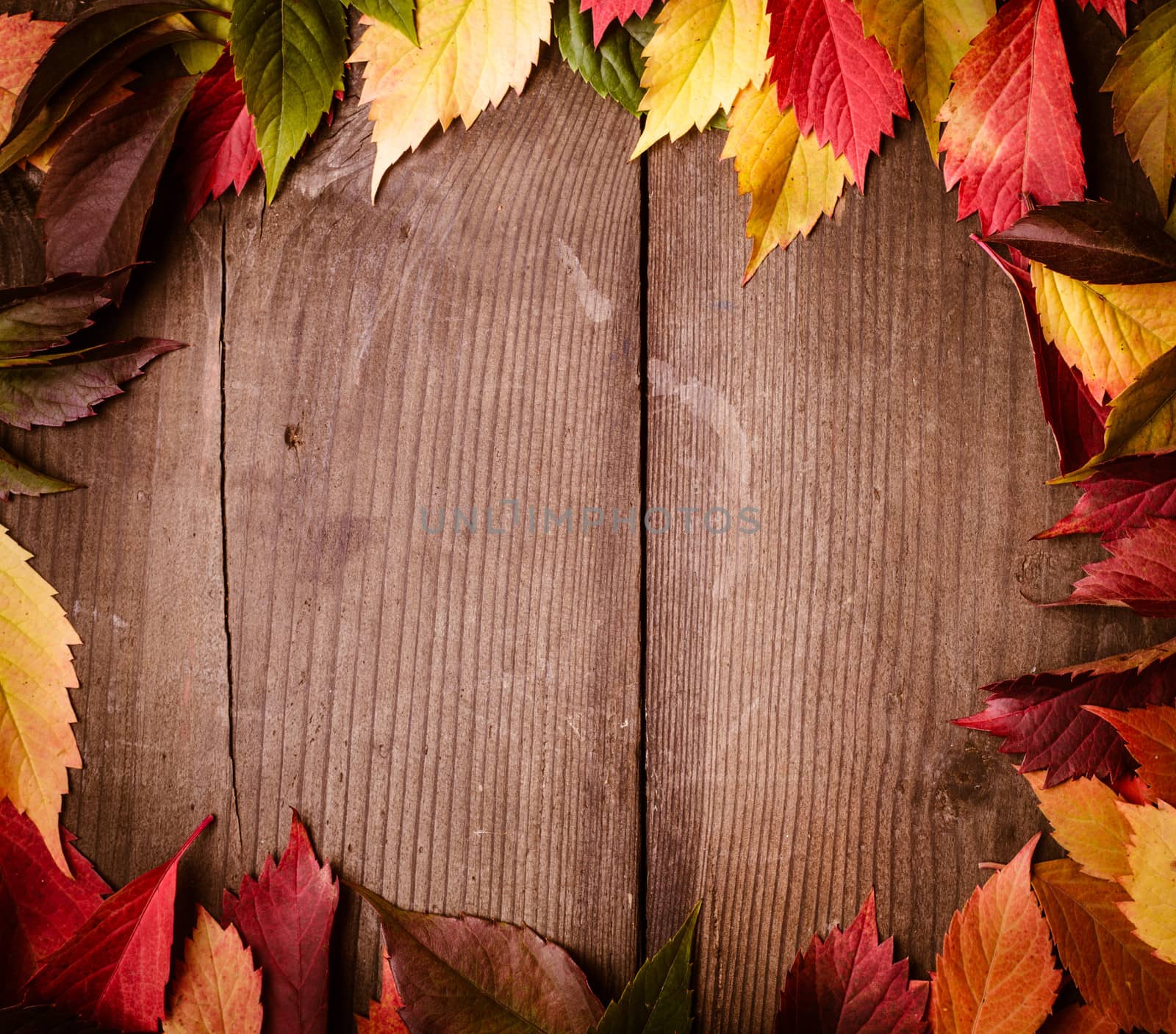 Frame from autumn leaves on the wooden background