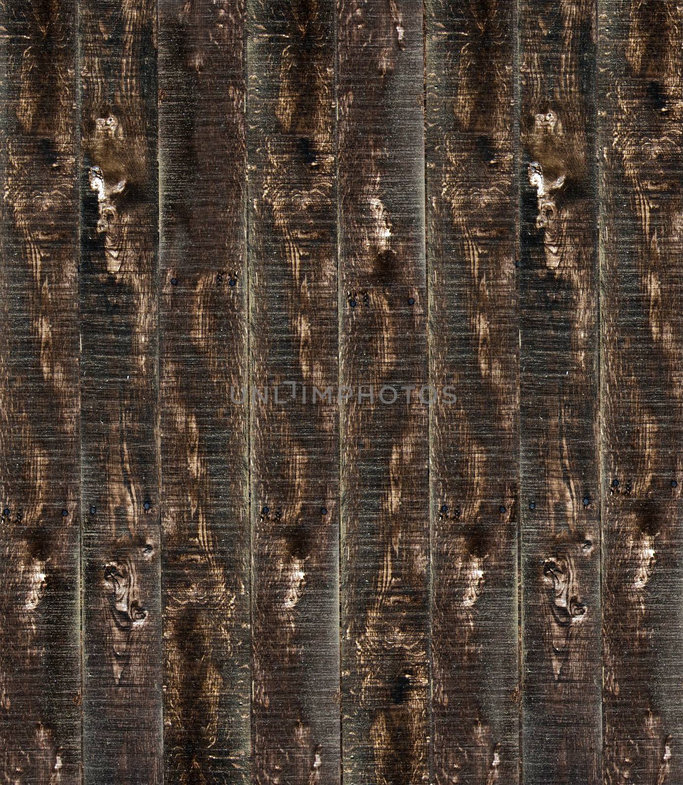 Wood texture by Pakhnyushchyy
