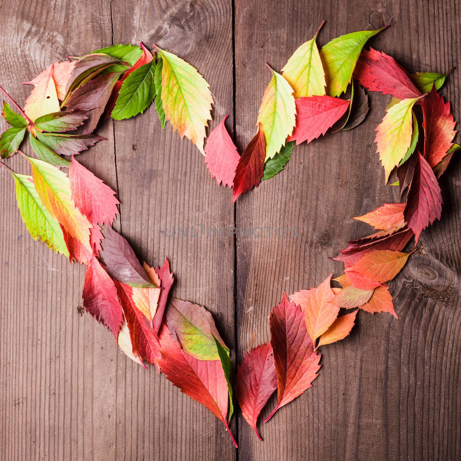 Heart symbol from leaves on wooden background