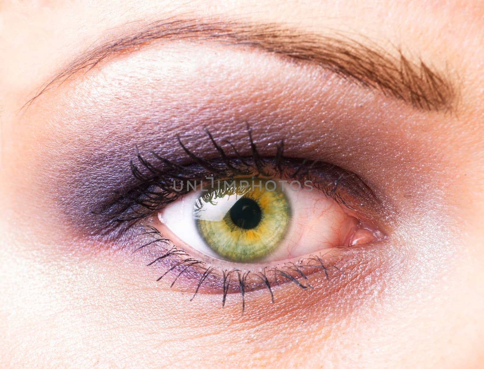 One women's  eye closeup with make up