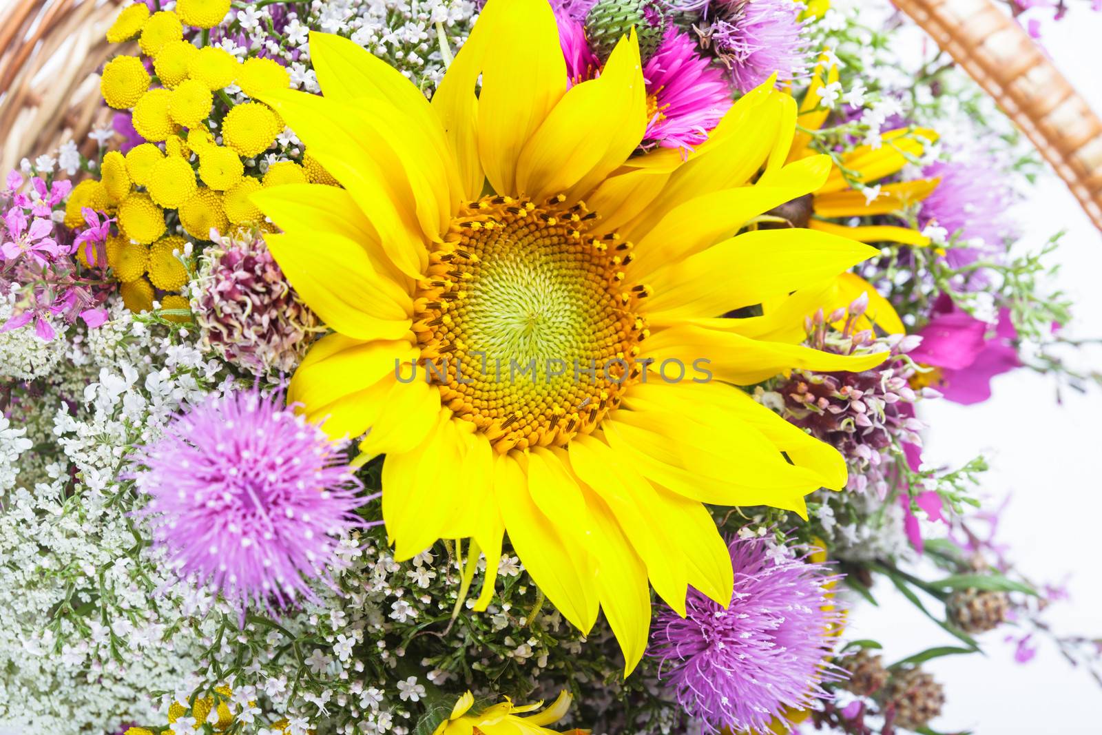 Bouquet of wild flowers and sunflowers in basket isolated