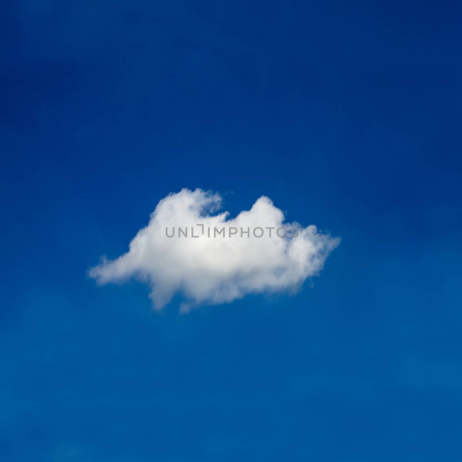 Lonely cloud on the deep blue sky