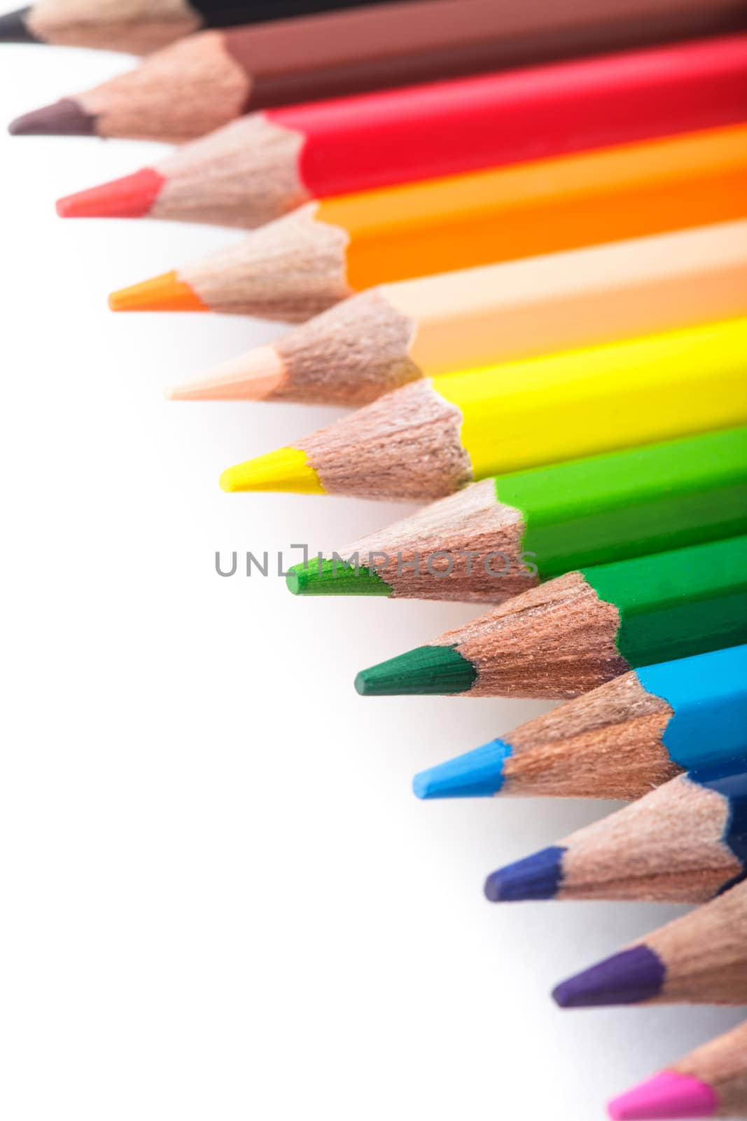 Rainbow color pencils in a row isolated on white