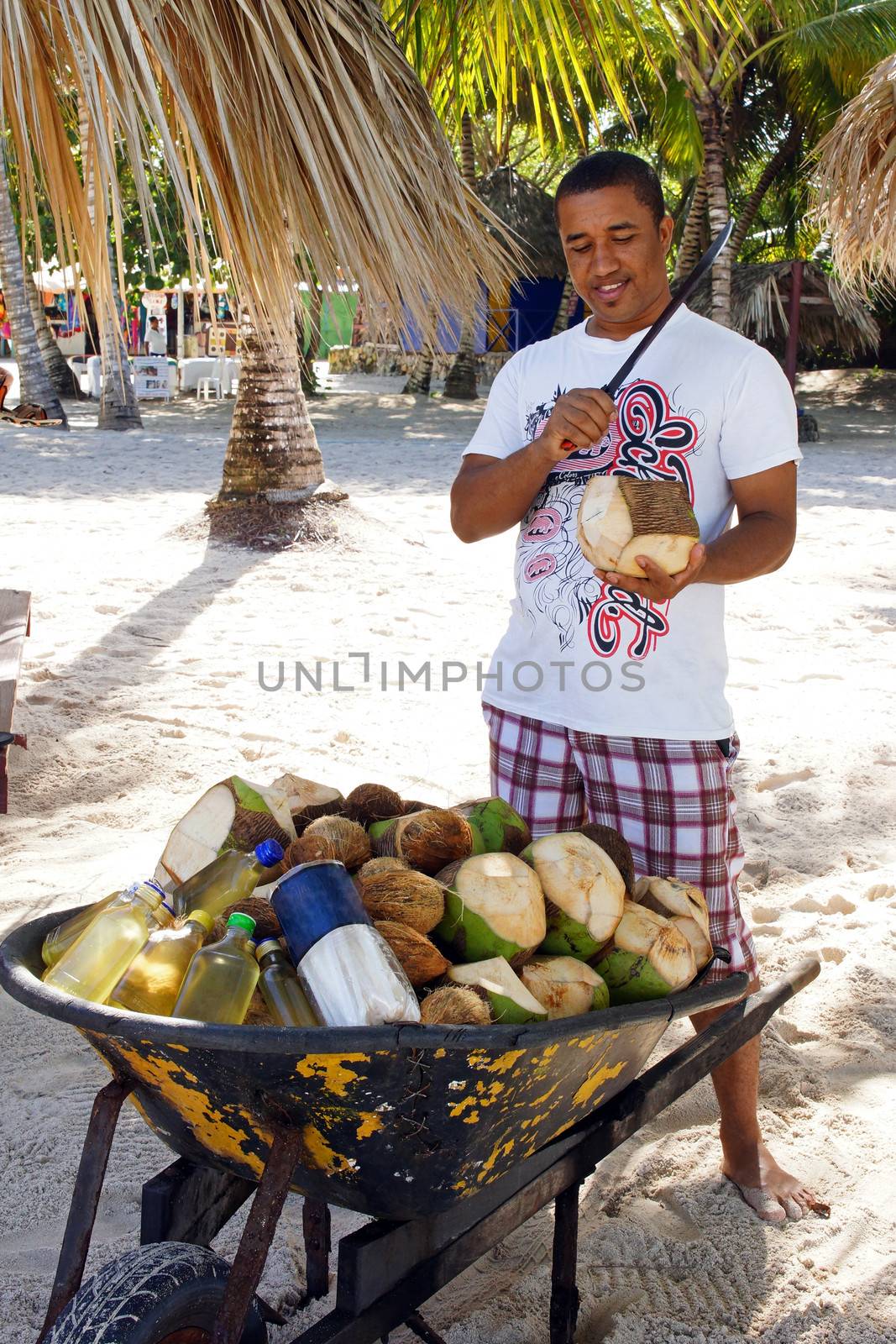 Man cutting coconuts, Dominican Republic by alfotokunst