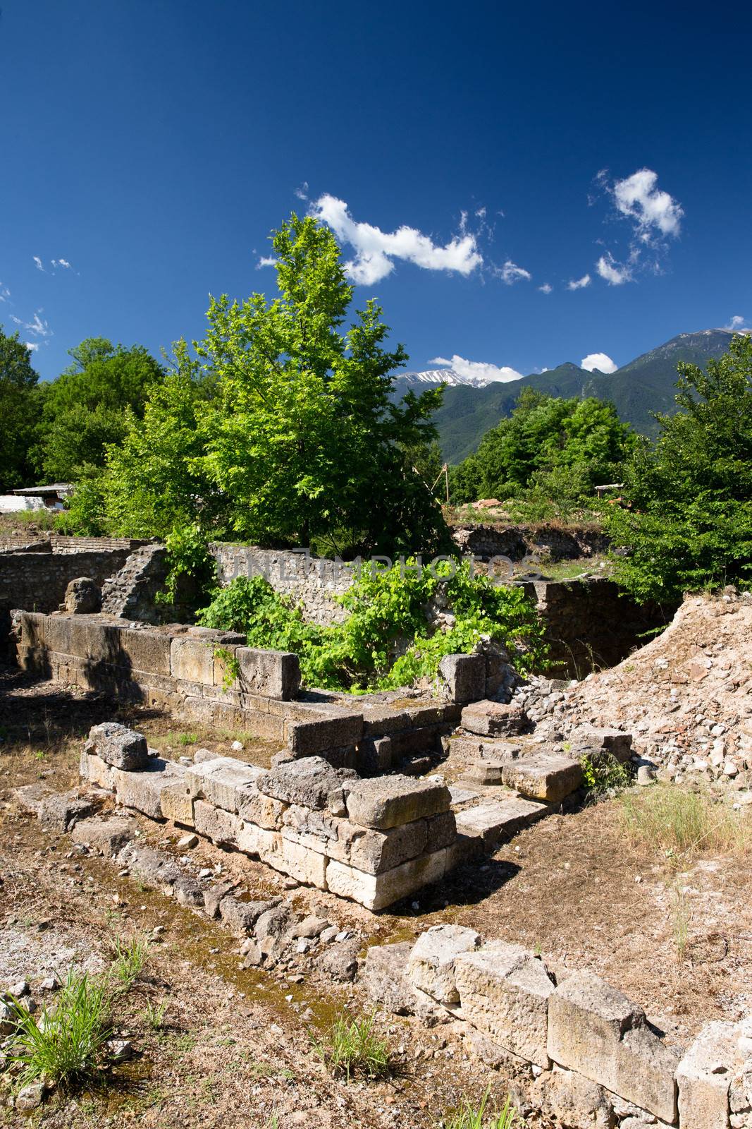 Ancient ruins in Dion, Greece.