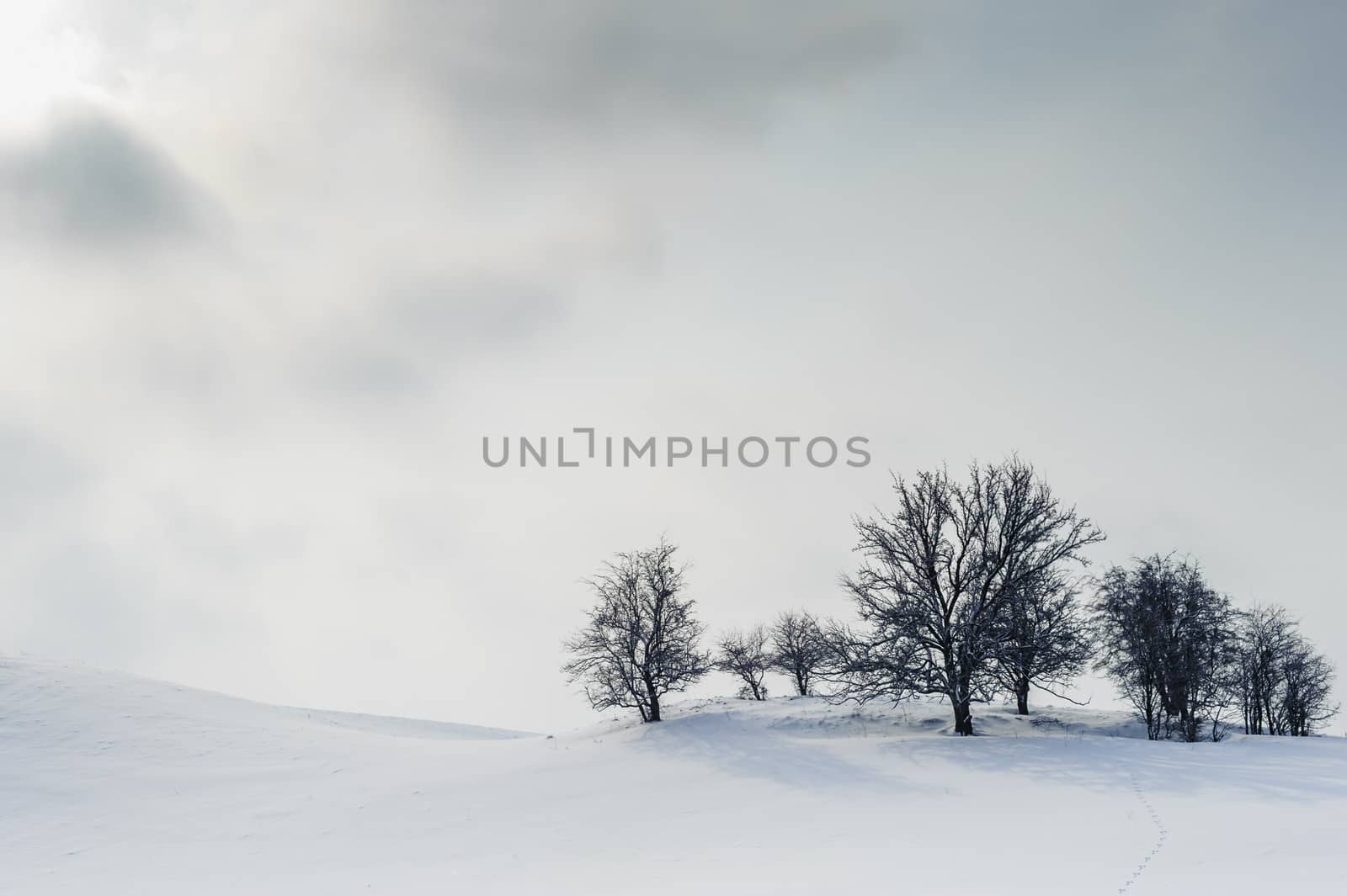 Harsh winter landscape with visible trees on the top of the hill, sun and clouds in the white sky.