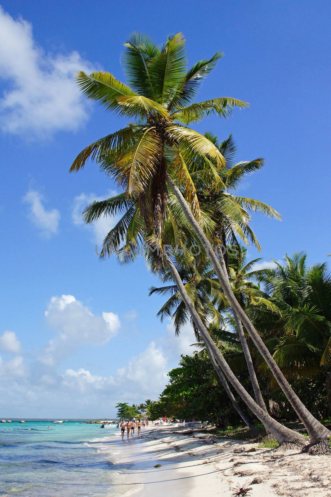 Caribbean Beach, Dominican Republic by alfotokunst