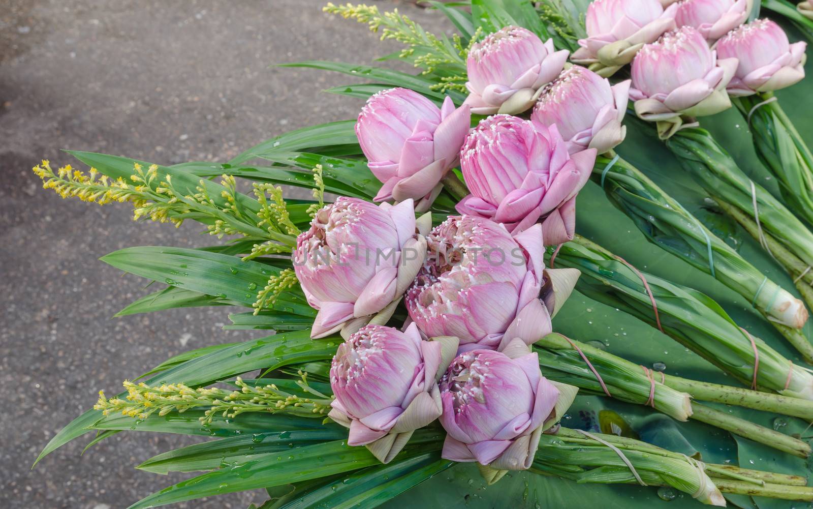 Bouquet lotus sell at the fresh food market in the morning for Buddhist worship