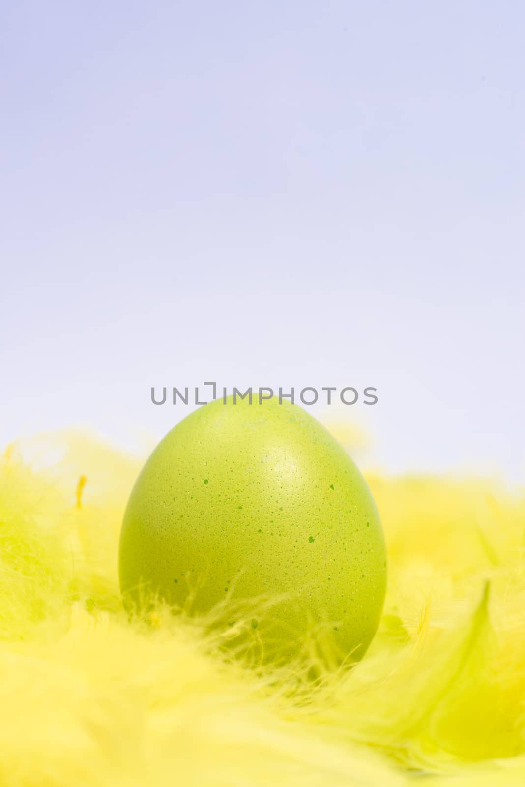 Funny, amusing and joyful photo of green Easter egg lying in yellow feathers, visible feather falling down.
