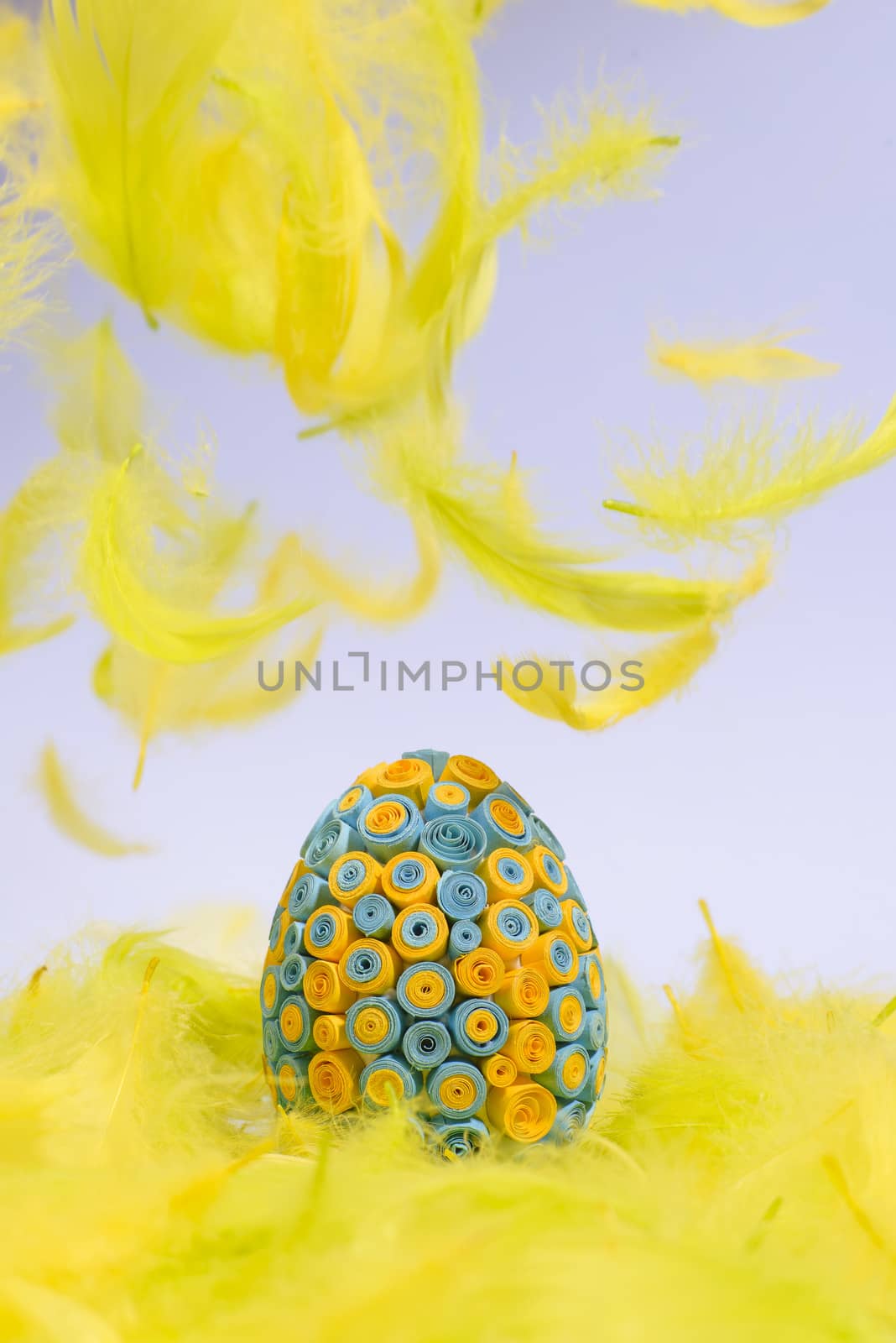 Funny, amusing and joyful photo of yellow and blue Easter egg lying in yellow feathers, visible feather falling down.