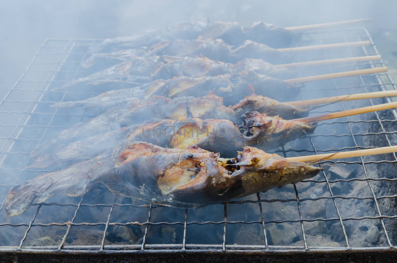 Food of thailand is Catfish grilling on the hot grating