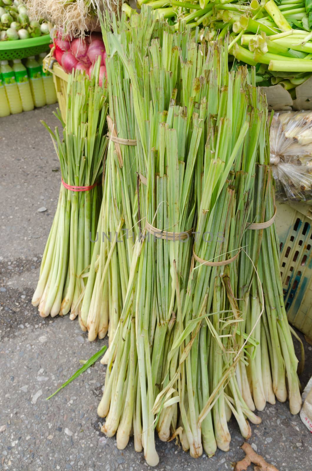 Fresh lemongrass  sale in fresh market at Rayong Thailand