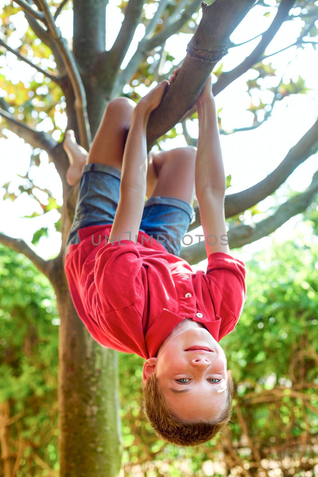 Boy hanging from a tree branch by naumoid