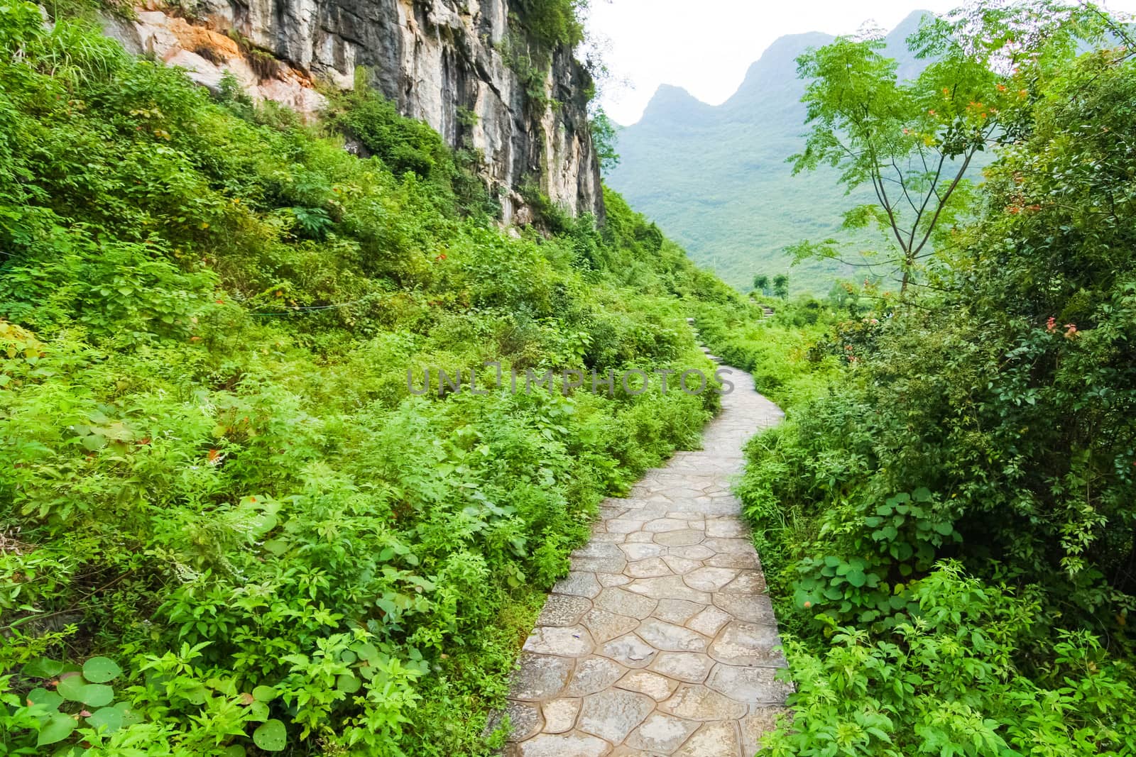 Stone path in yangshuo china