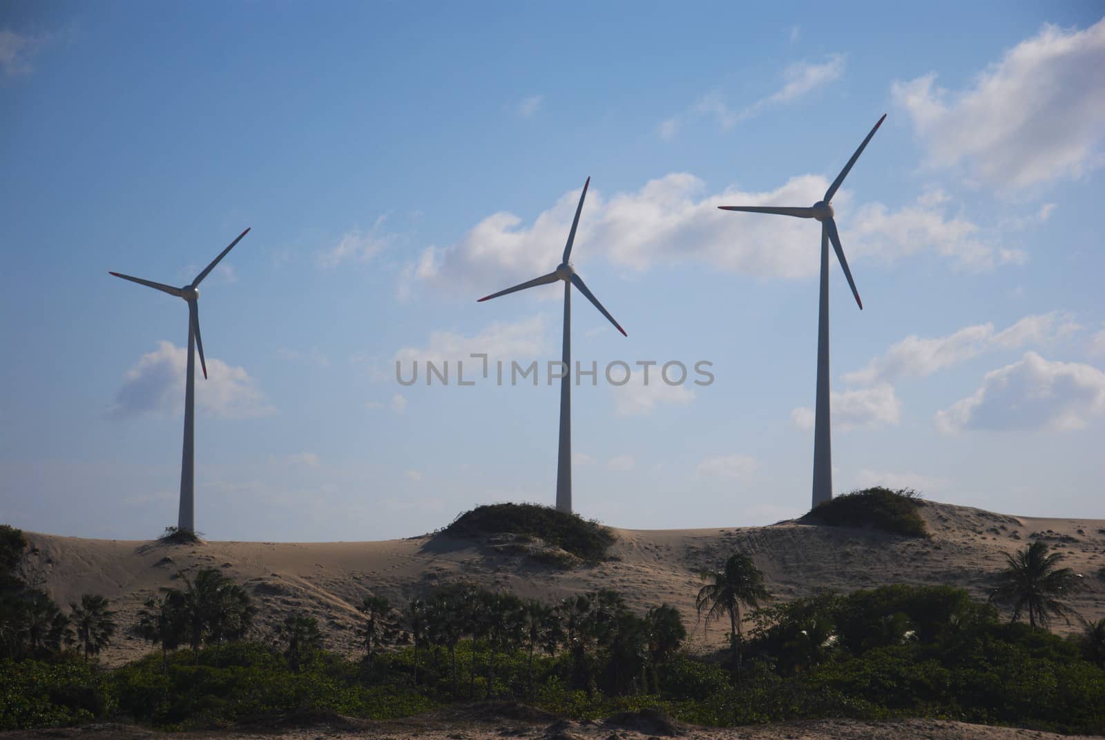 wind mill power generation