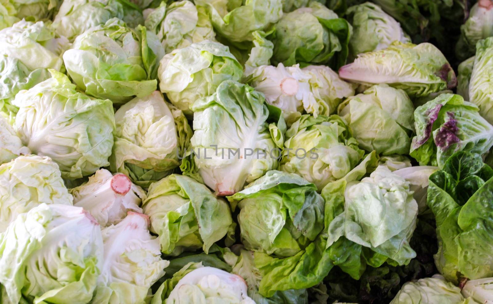 Pile of green iceberg lettuce at a farmers market.
