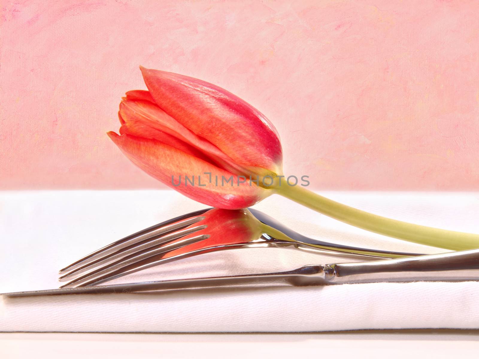 Closeup of utensils and red tulip  by Sandralise