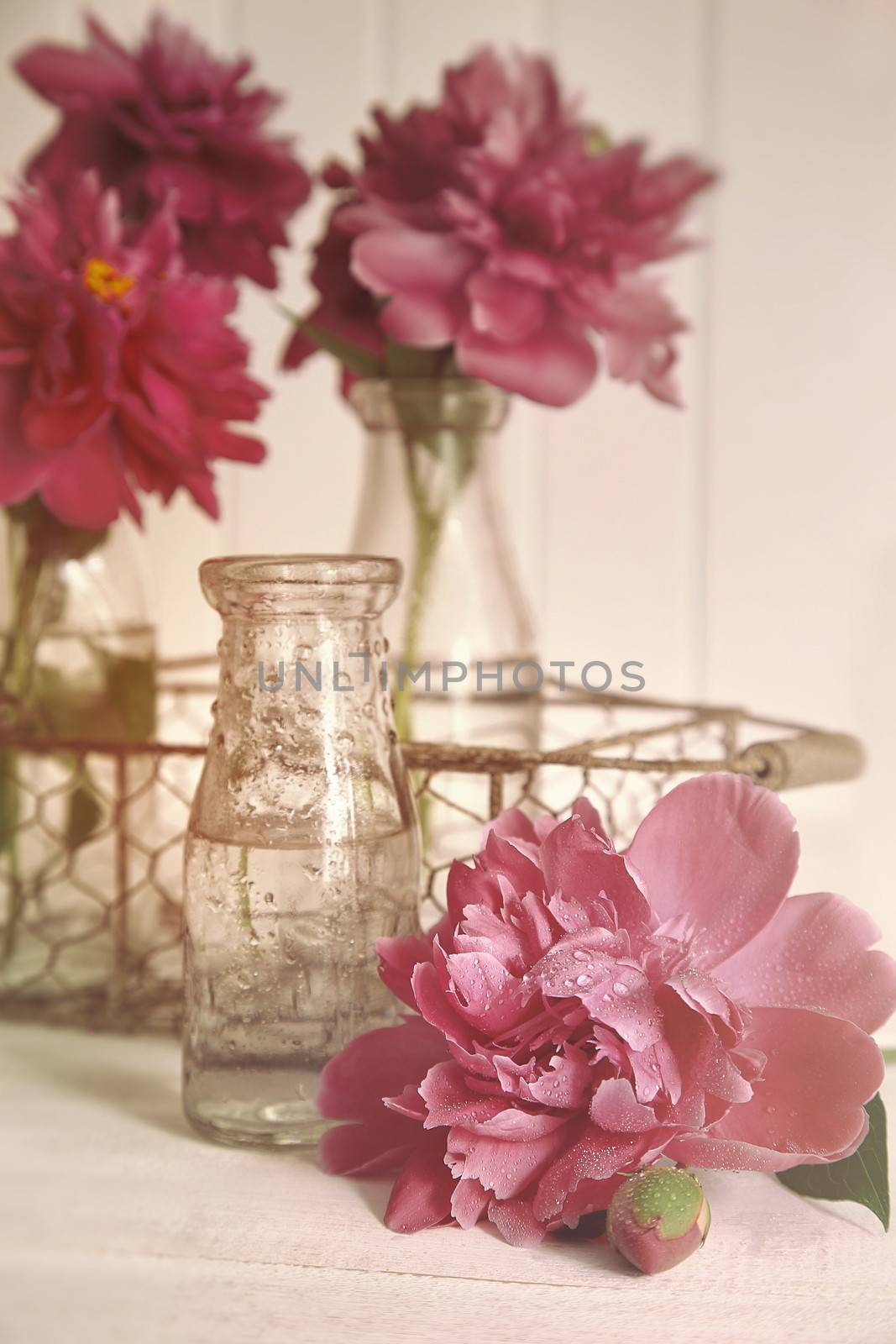 Beautiful peony flowers with glass bottles on table