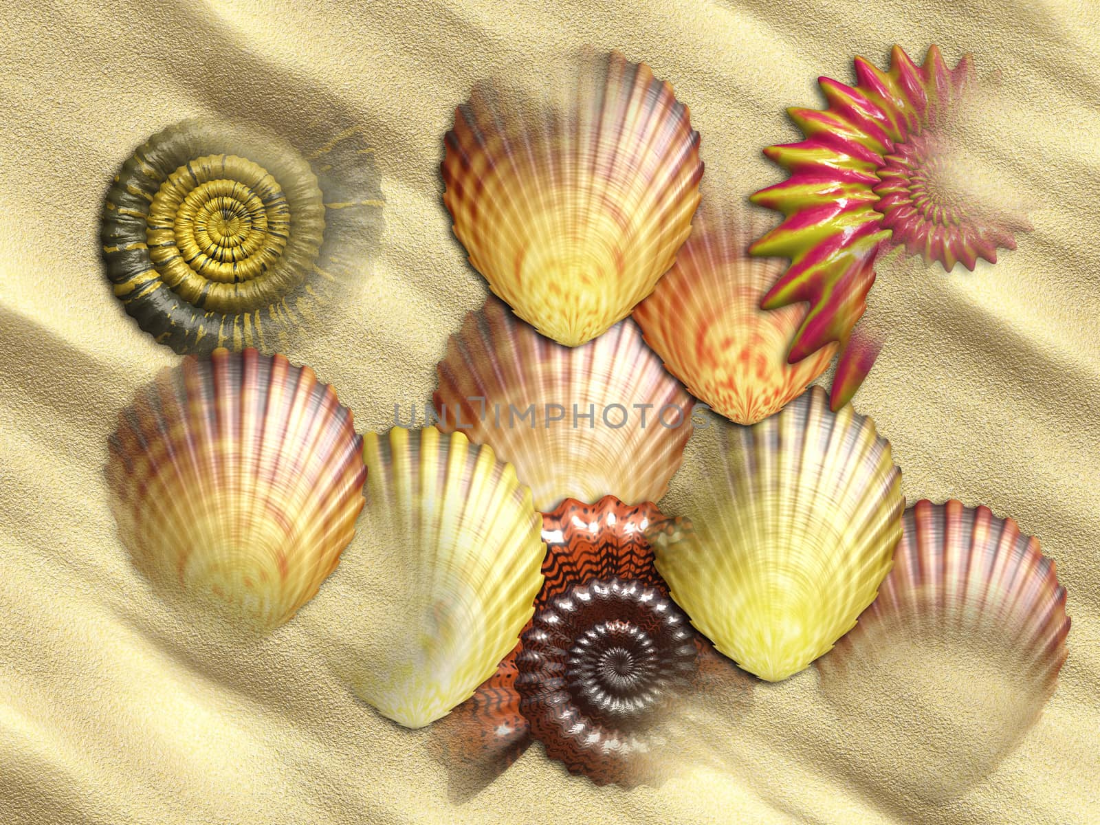 Various sea shells on sand at the beach