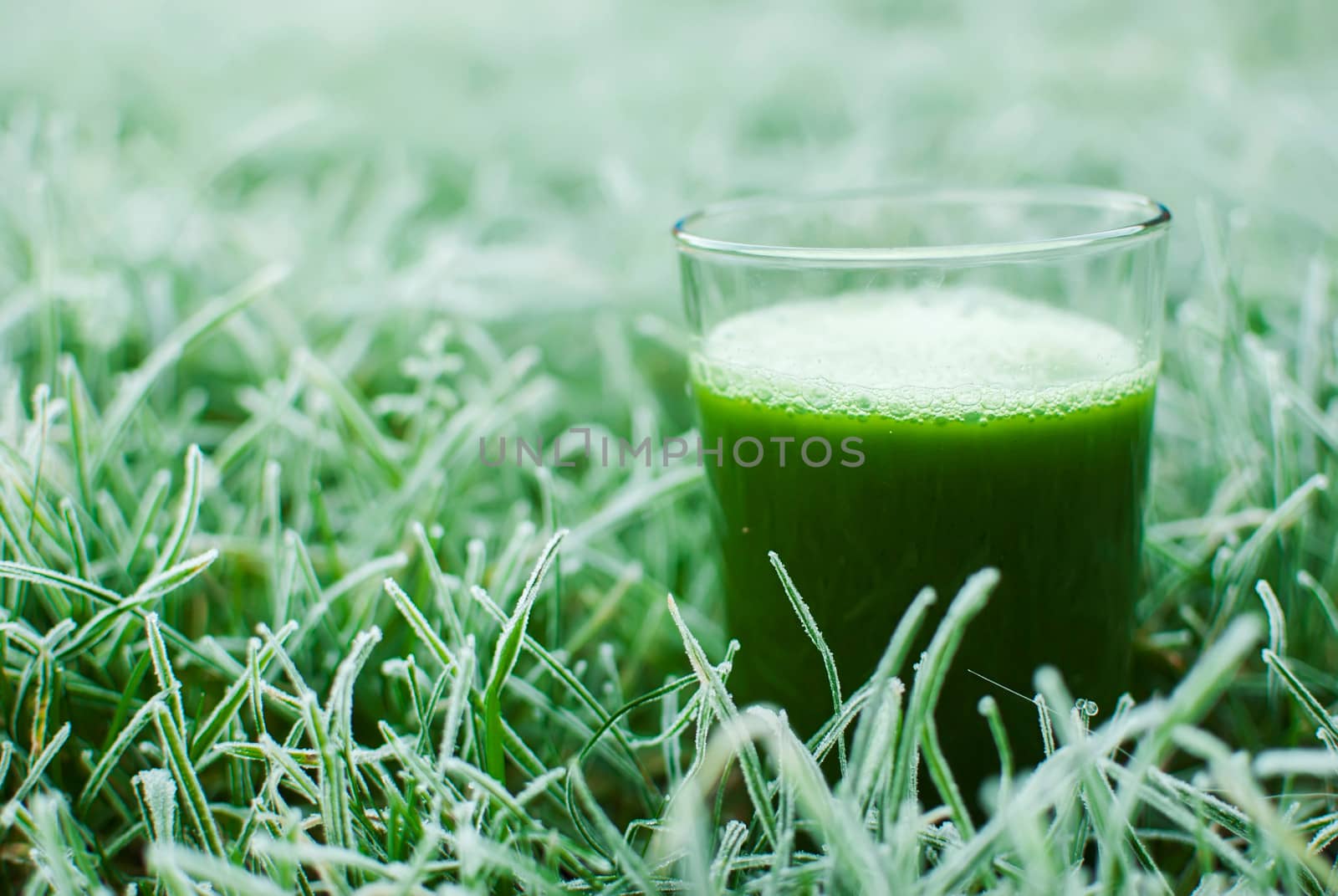 healthy organic green detox juice in a frozen grass