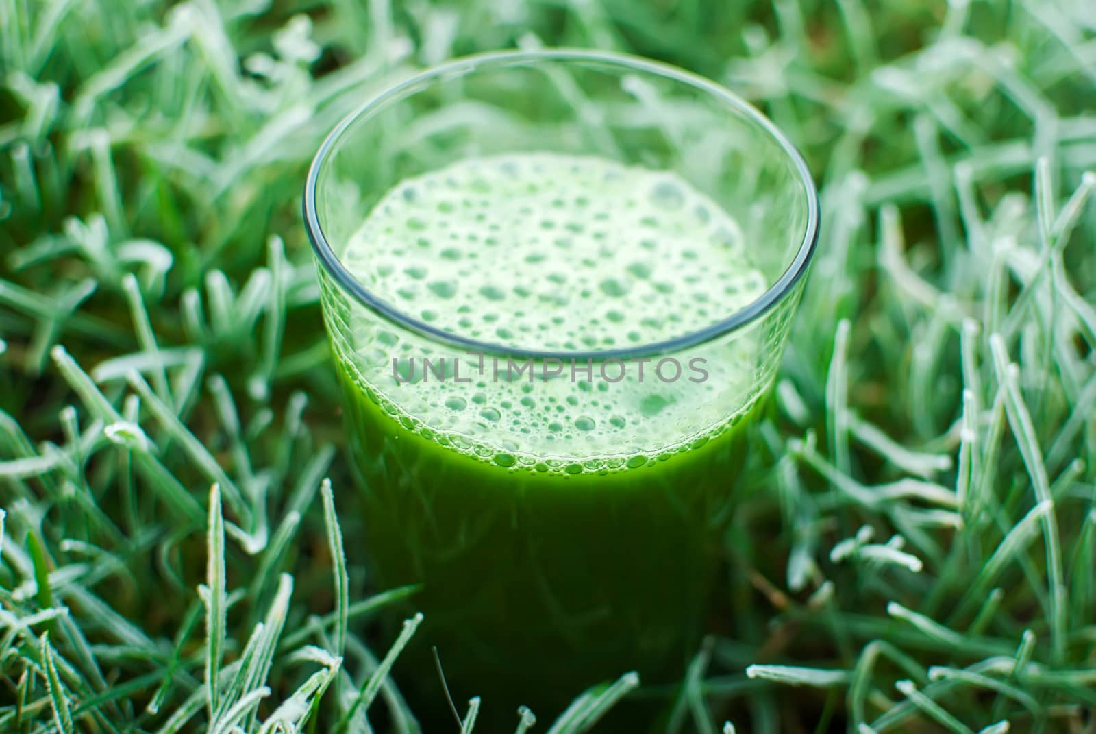 healthy organic green detox juice in a frozen grass