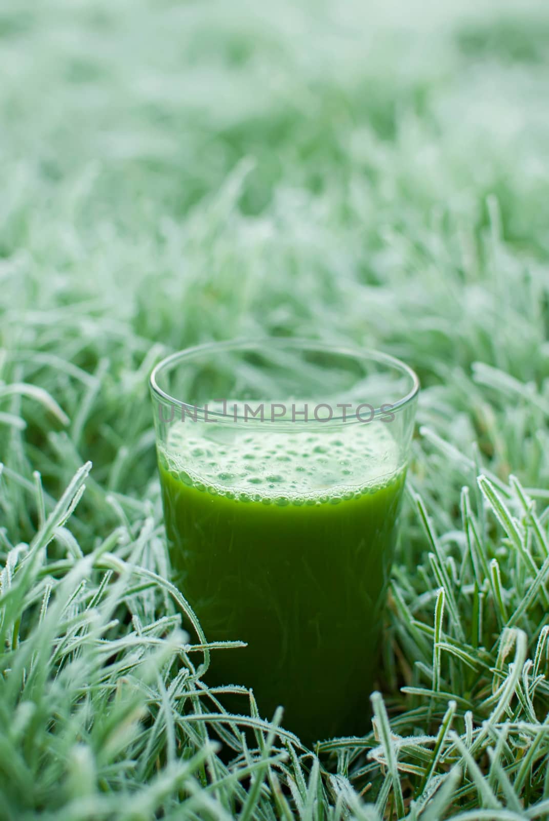 healthy organic green detox juice in a frozen grass