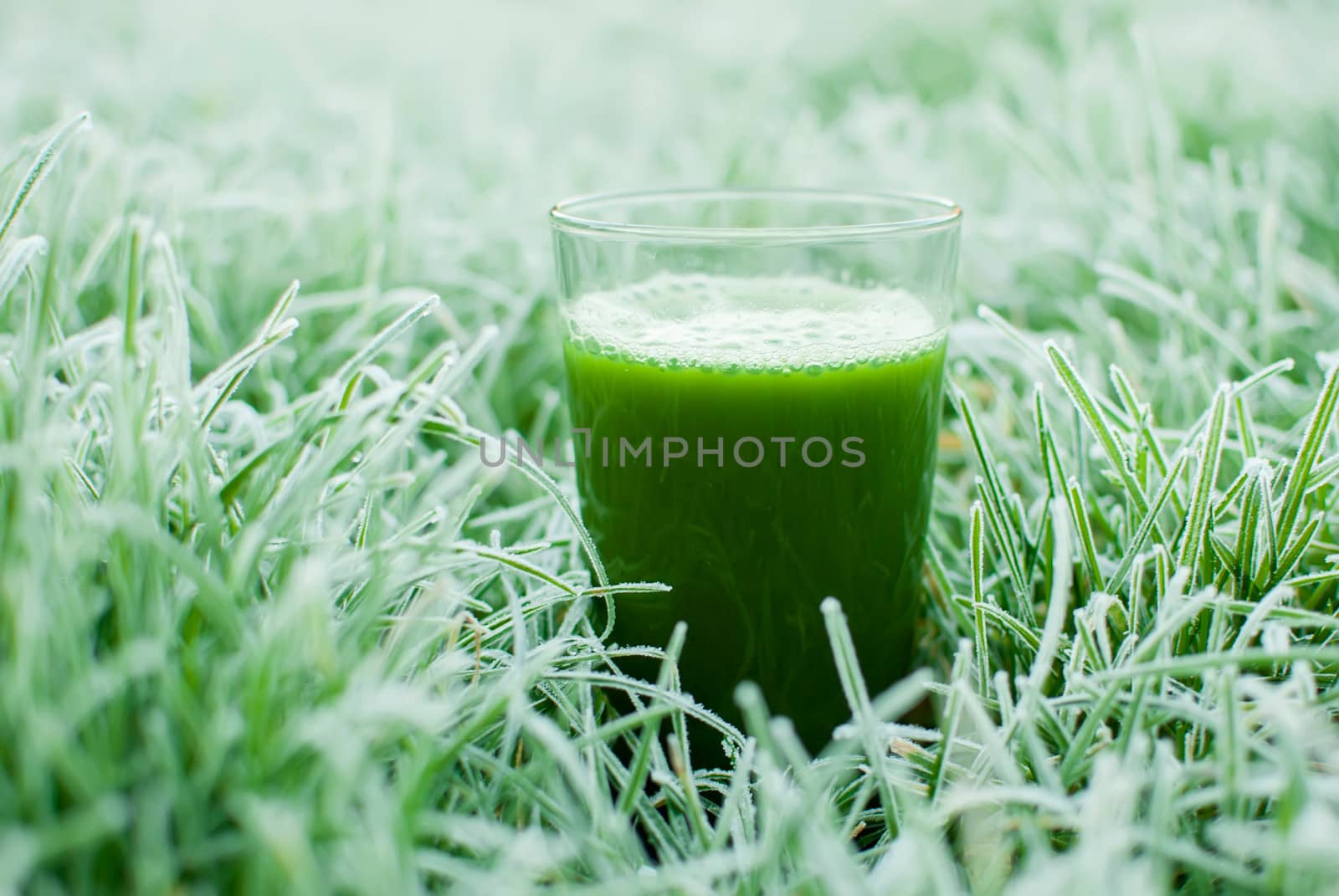 healthy organic green detox juice in a frozen grass