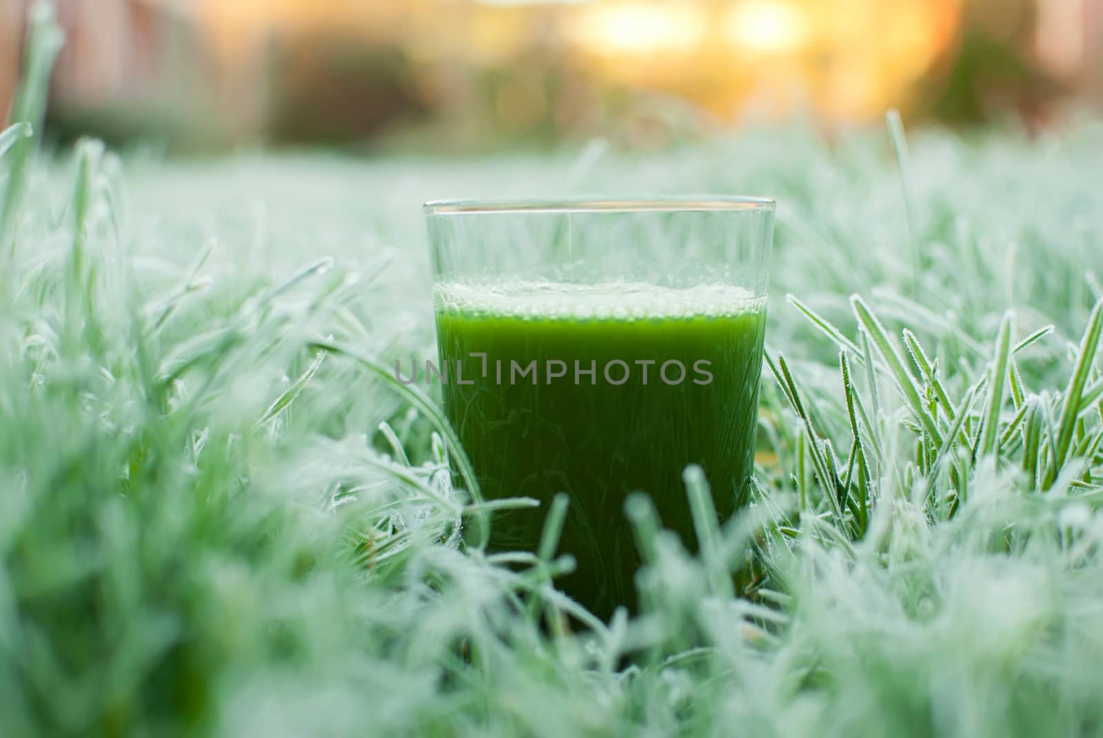 healthy organic green detox juice in a frozen grass