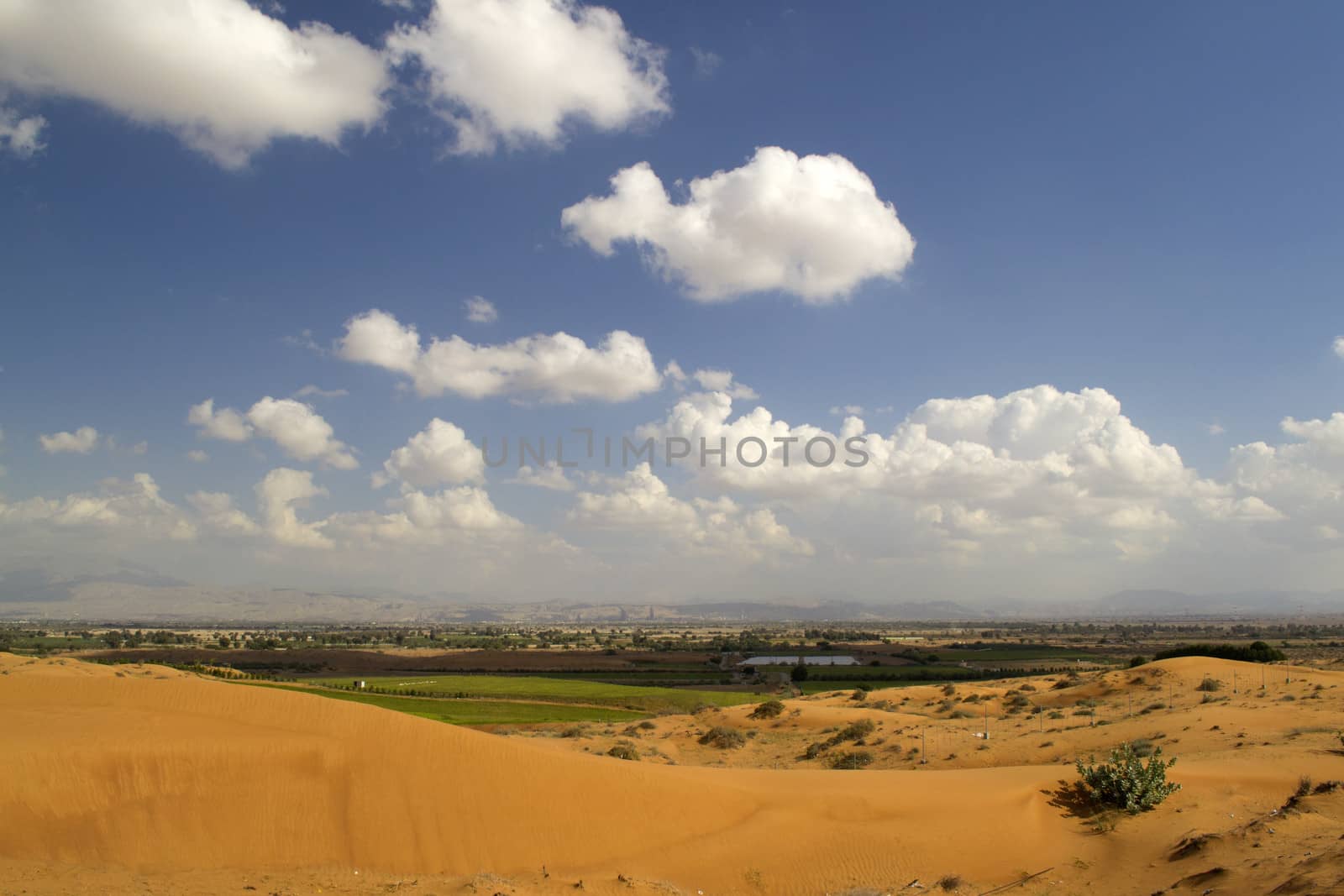 Desert plain by asajdler