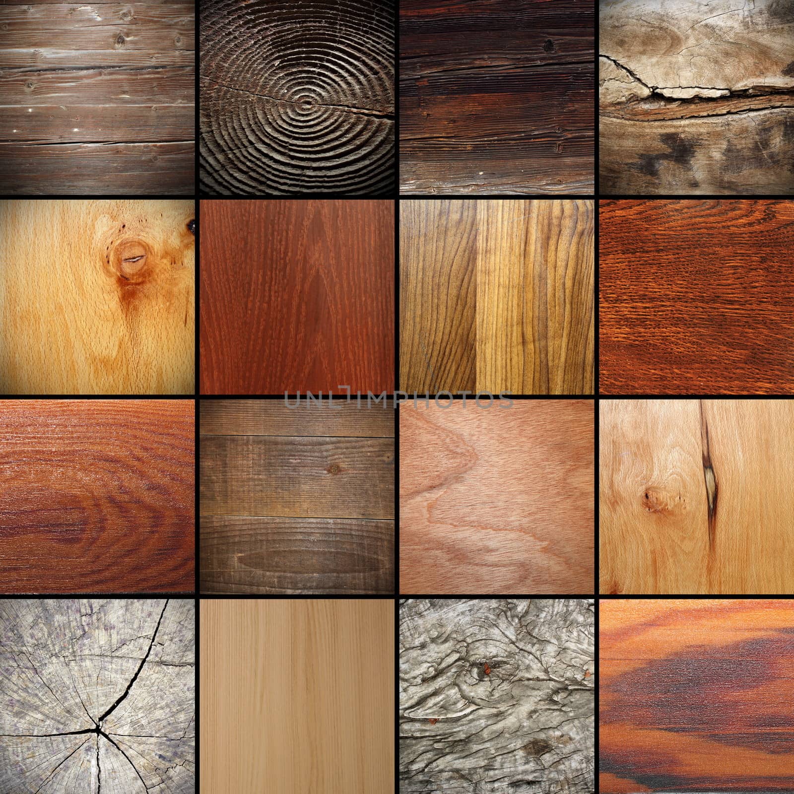 large collection of wood textures by taviphoto