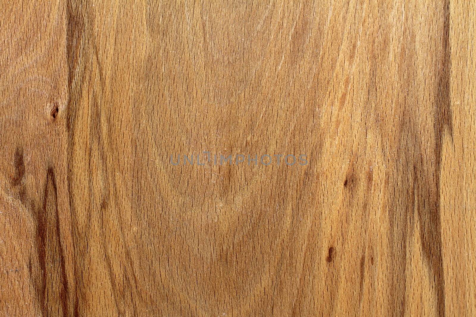 textured wood veneer with veins by taviphoto