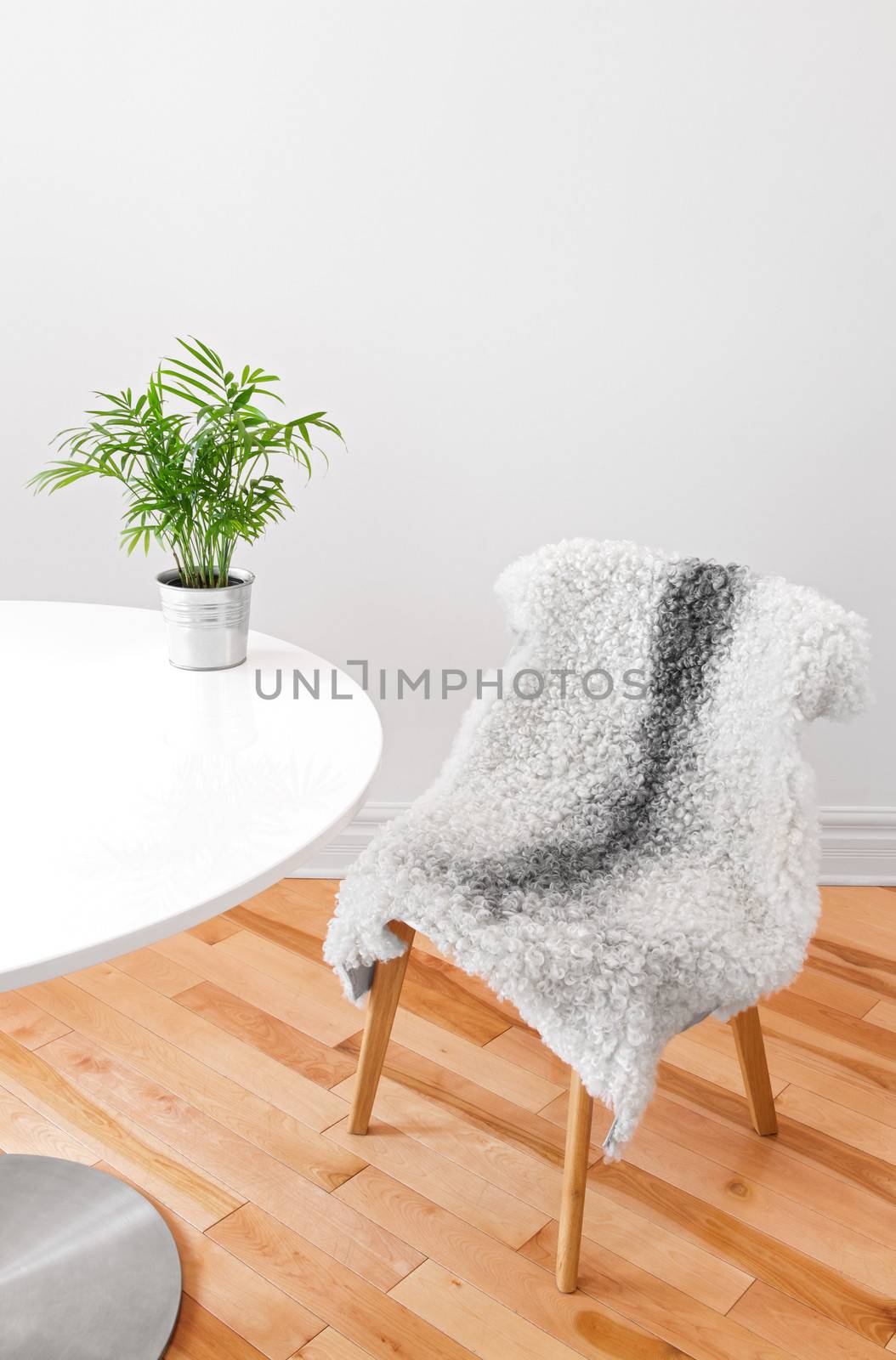 Home decor. Chair covered with sheepskin, and green plant on a white table.