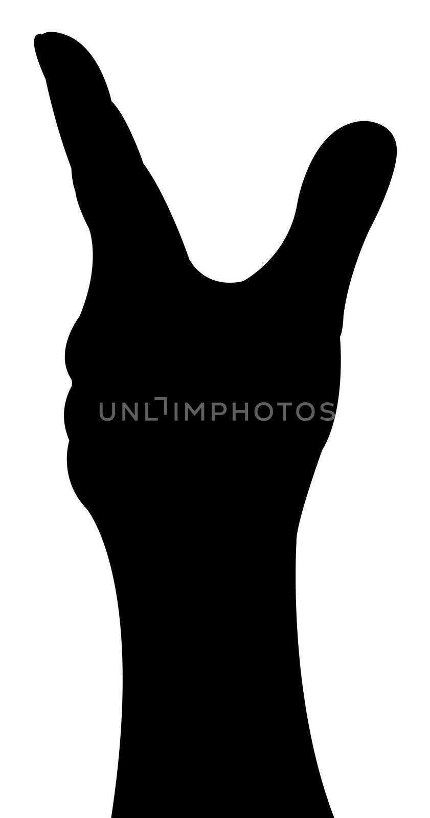 lady hand silhouette vector