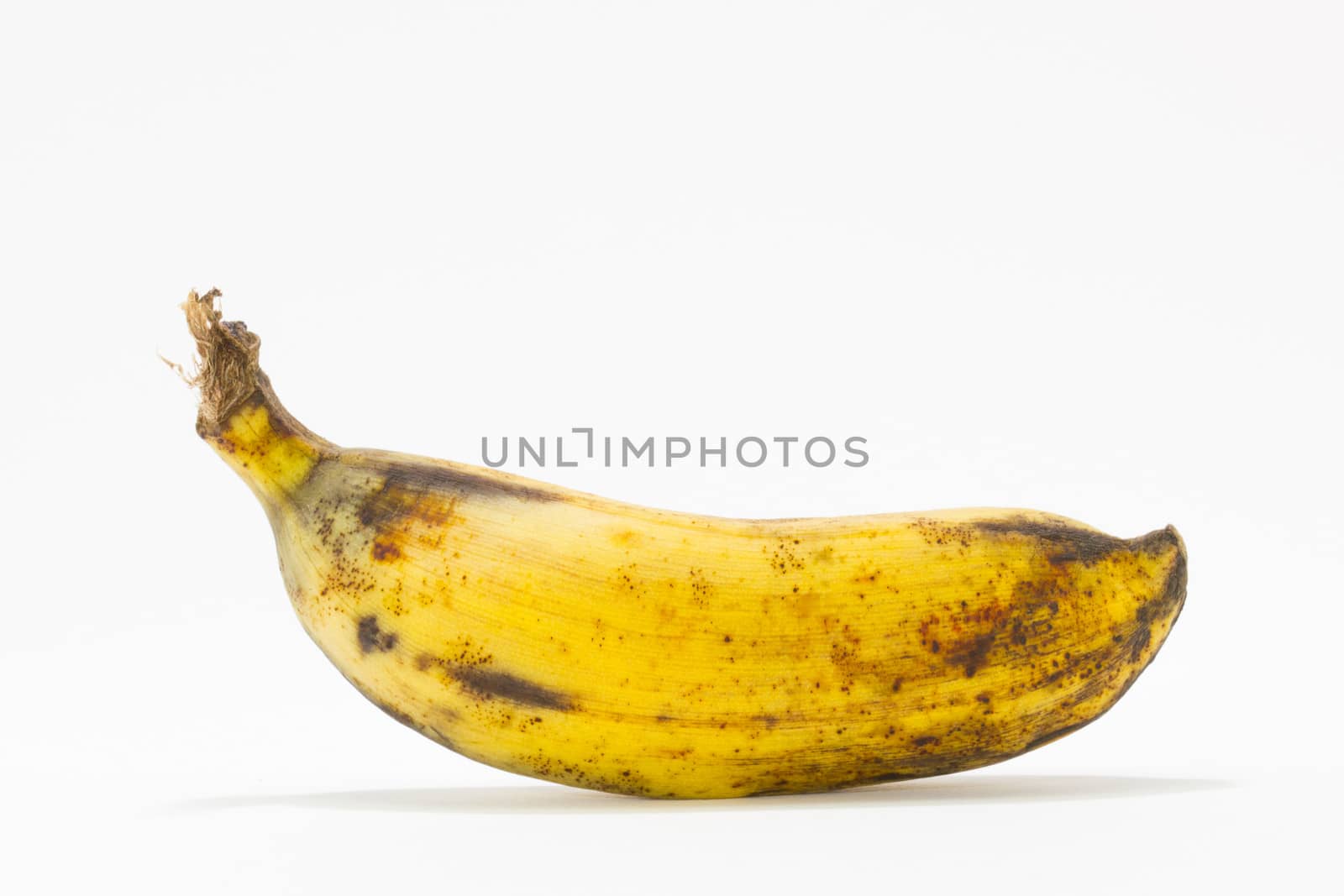 banana by a3701027