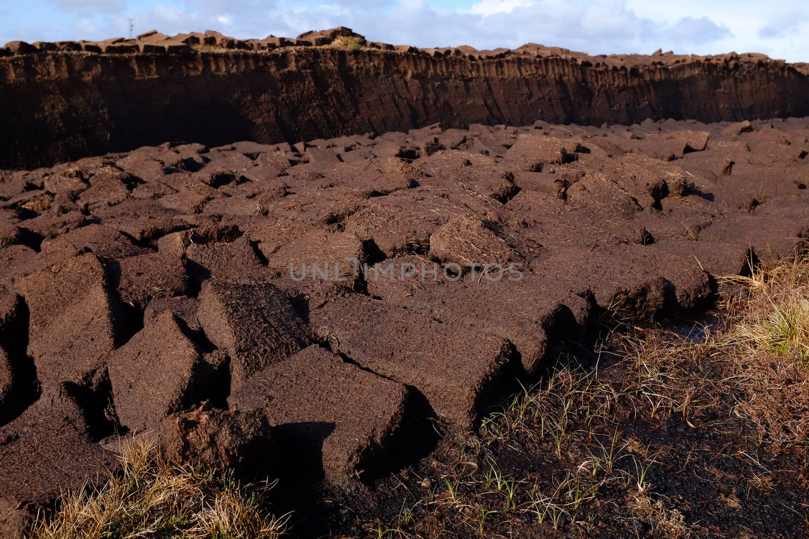 A section of moorland with a bank of peat cutting and the drying squares layed out.