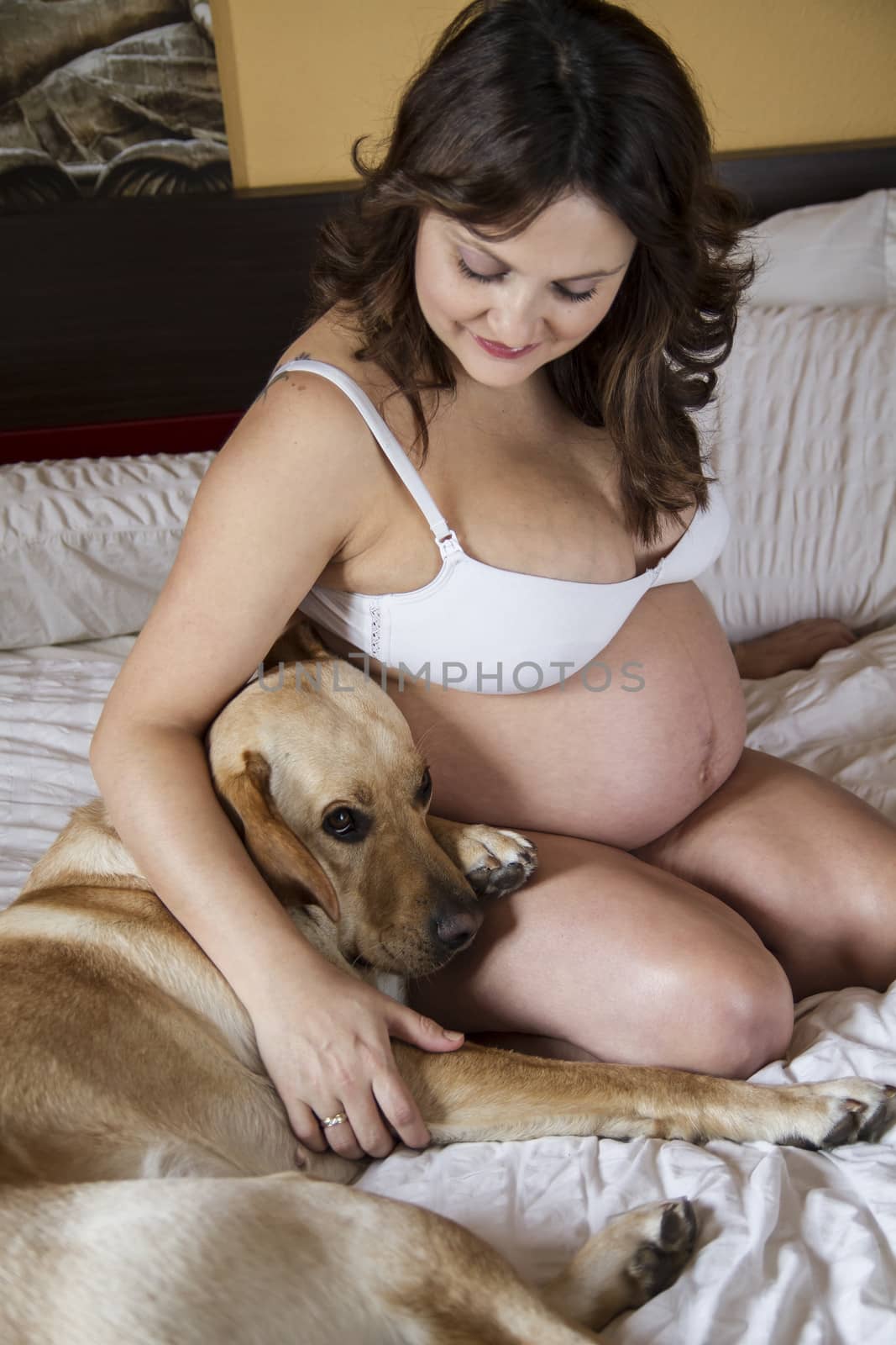 Pregnant Mother Relaxing On bed with labrador retriever, dog, To by FernandoCortes