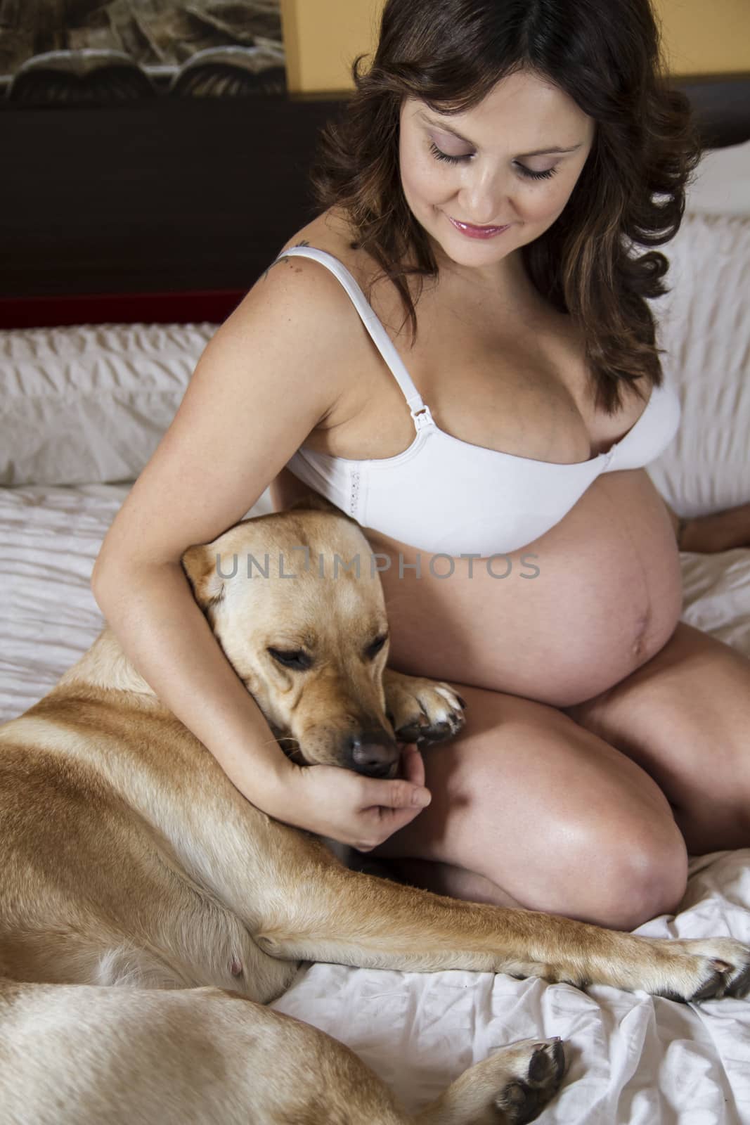 Pregnant Mother Relaxing On bed with labrador retriever, dog, To by FernandoCortes