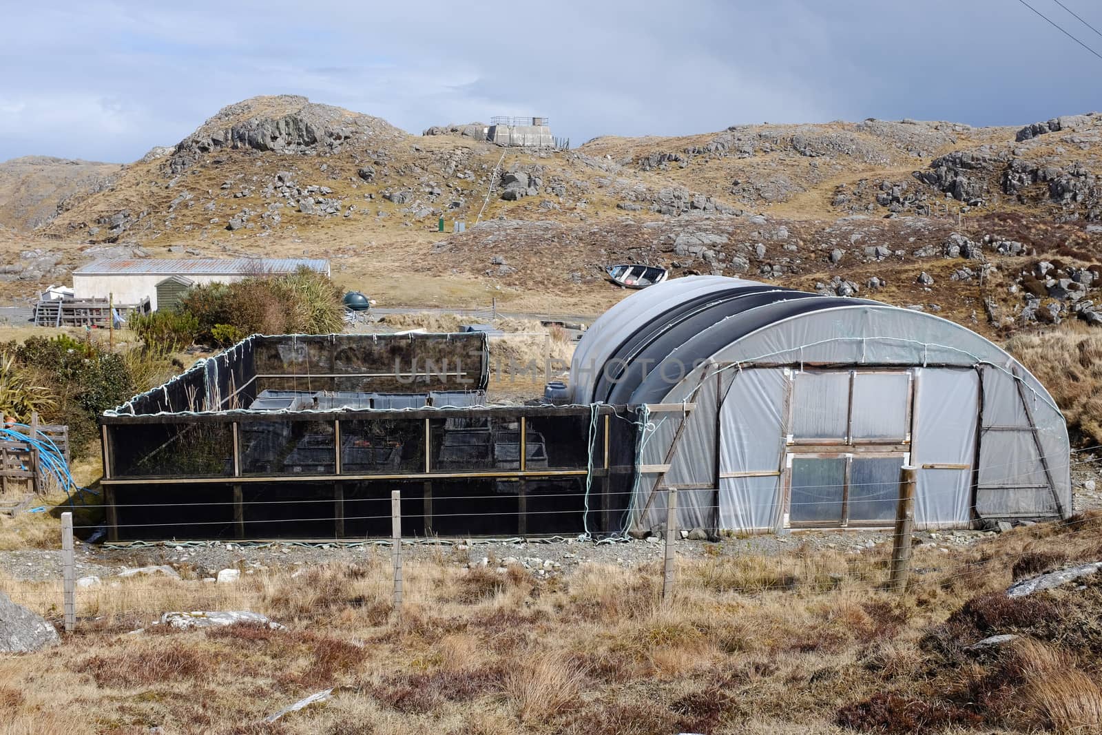 A poly tunnel on moorland with fence and enclosure area.