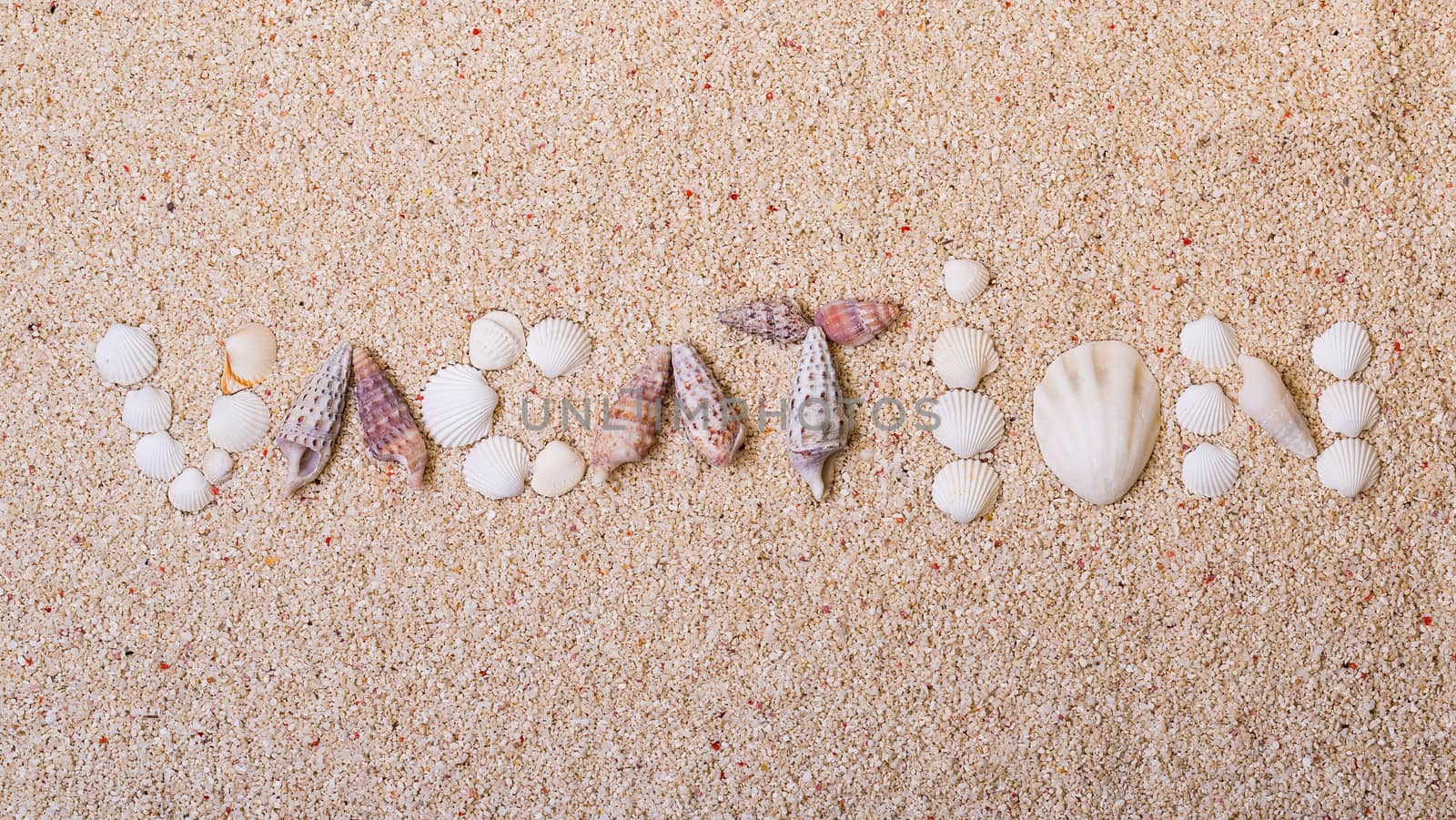 Title "vacation" from sea shells with coral sand as background