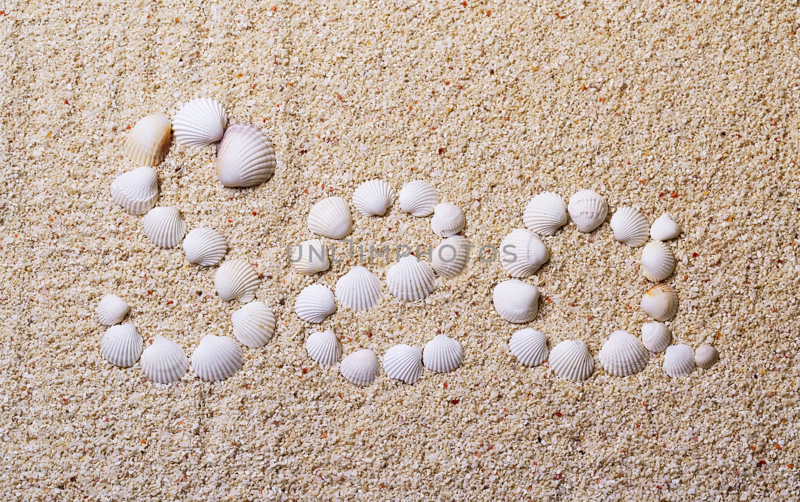 Title "Sea" from shells with coral sand as background